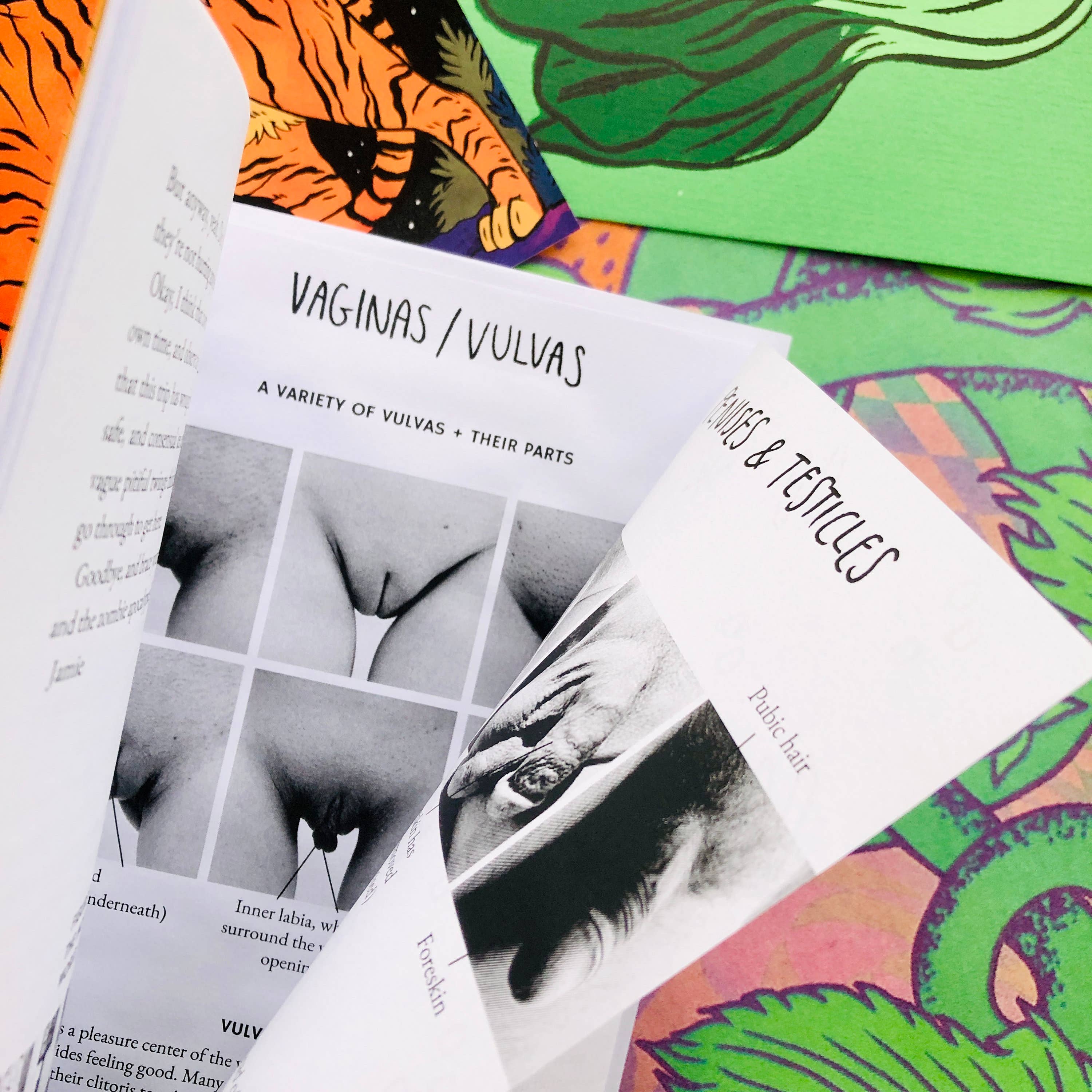 What I Would Tell My Teenage Self About Sex Zine
