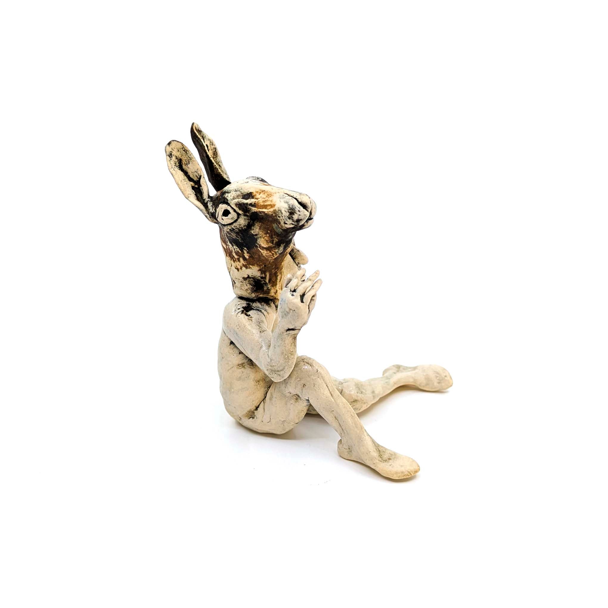 Rabbit Costume Man