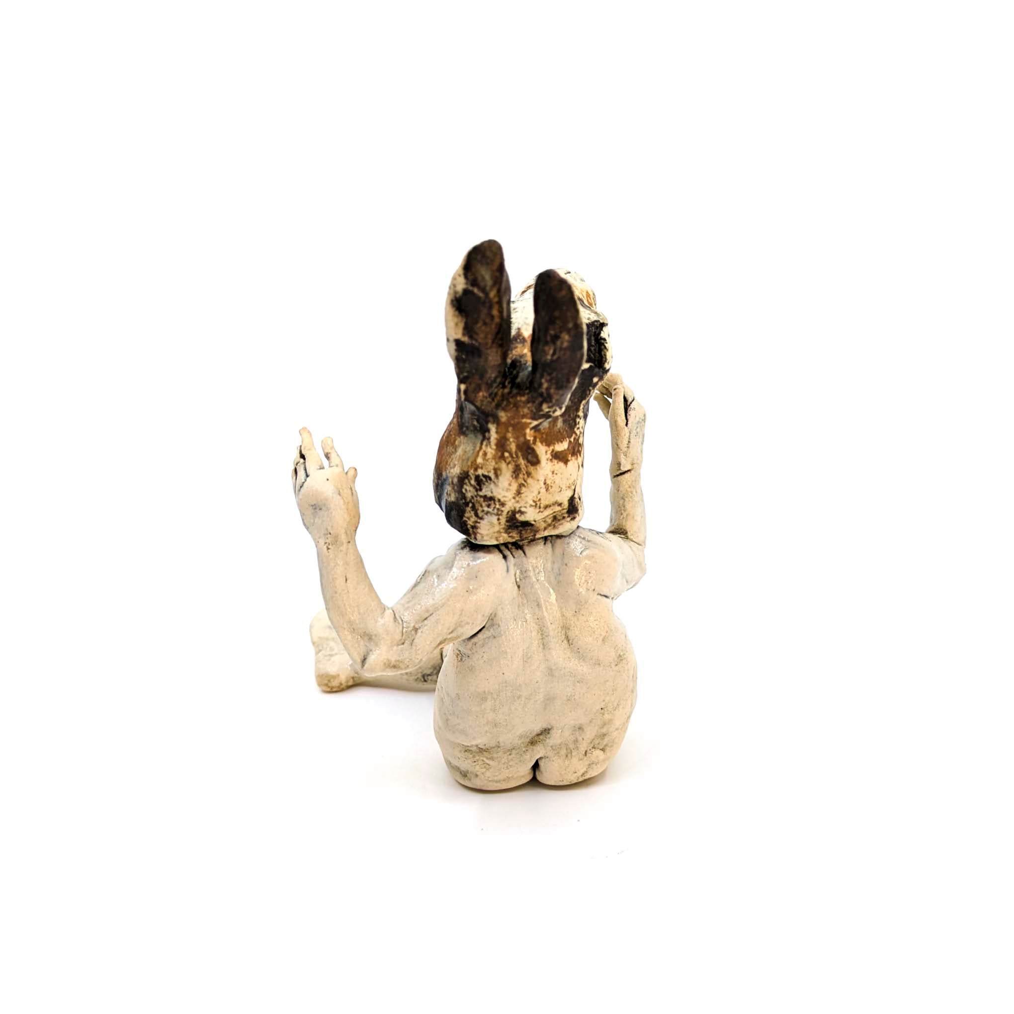 Rabbit Costume Man