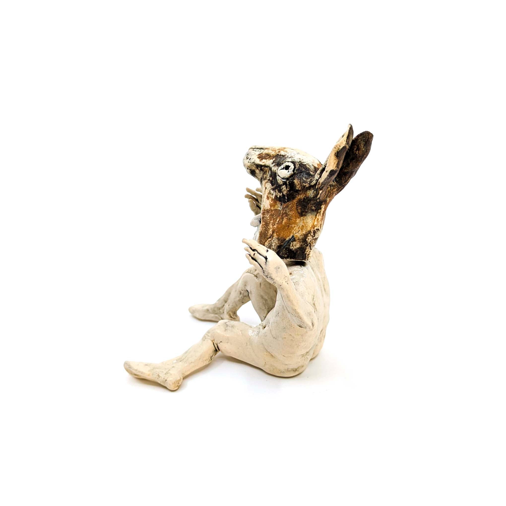 Rabbit Costume Man