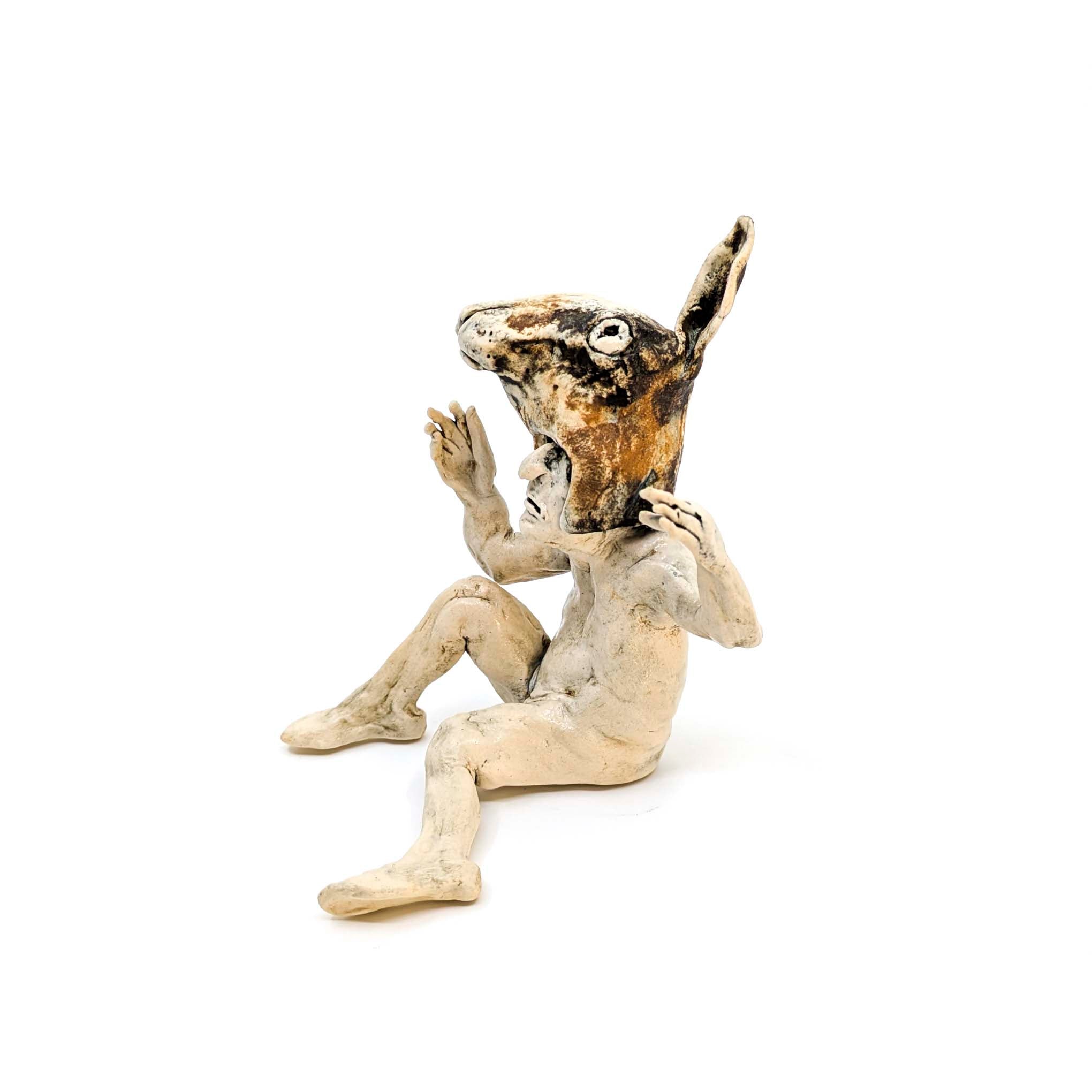 Rabbit Costume Man