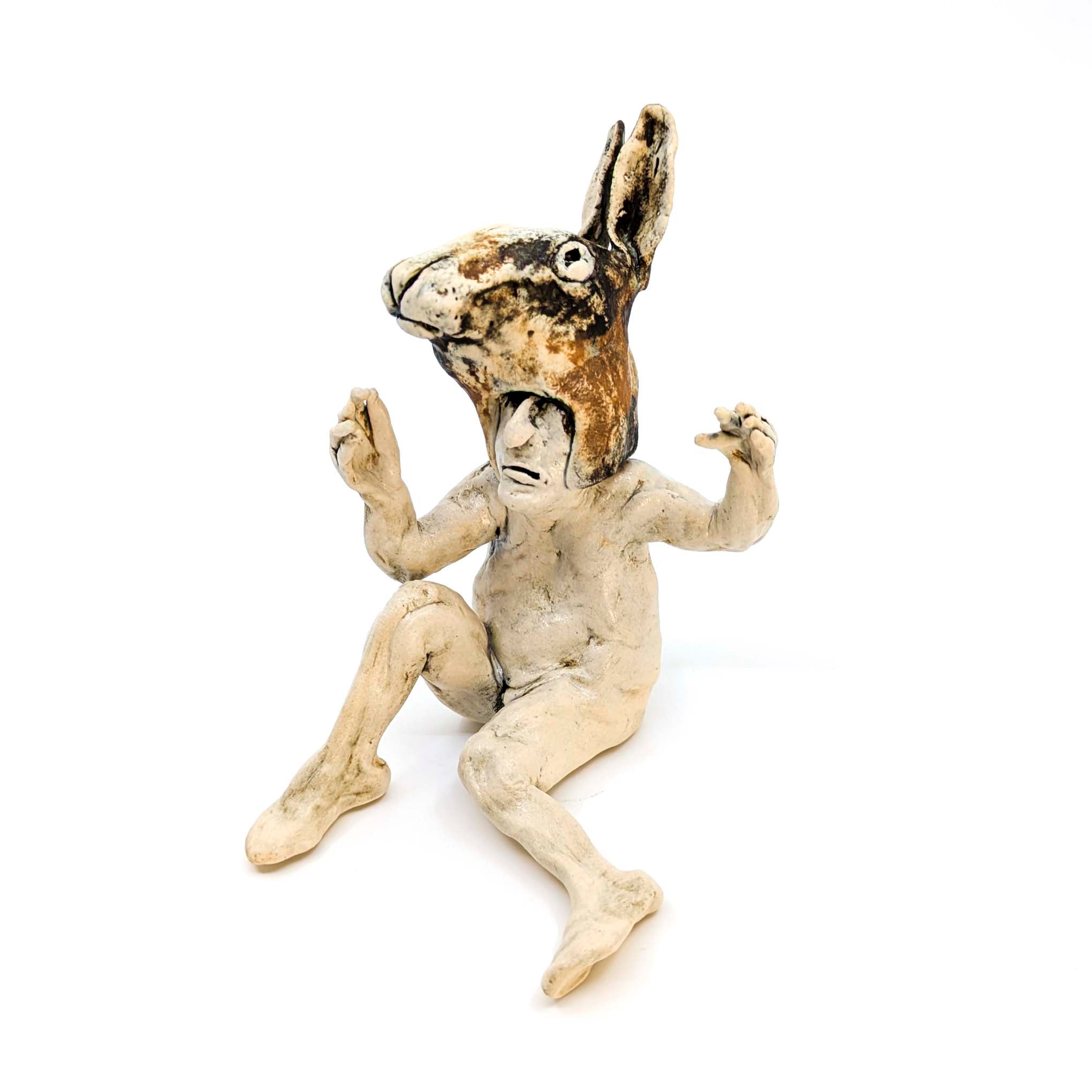 Rabbit Costume Man