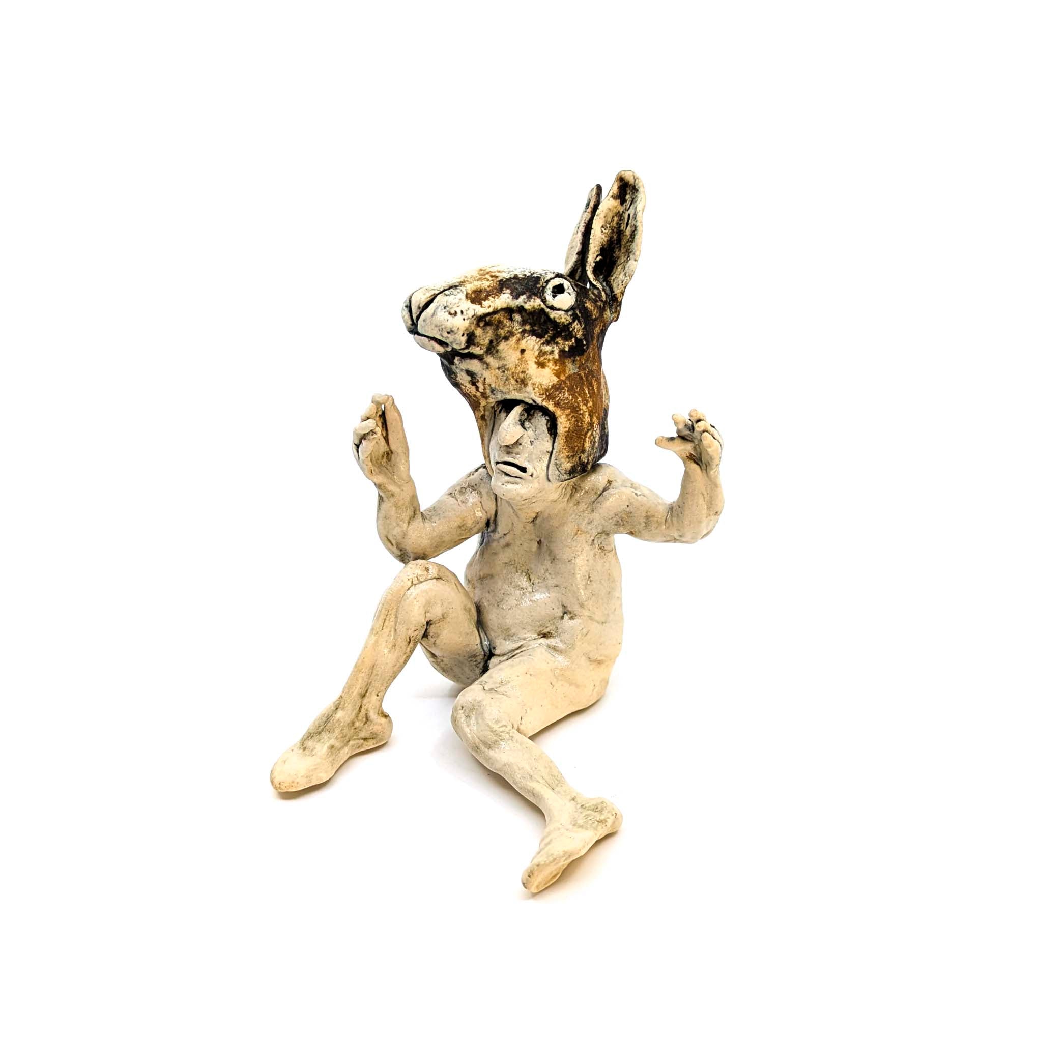 Rabbit Costume Man