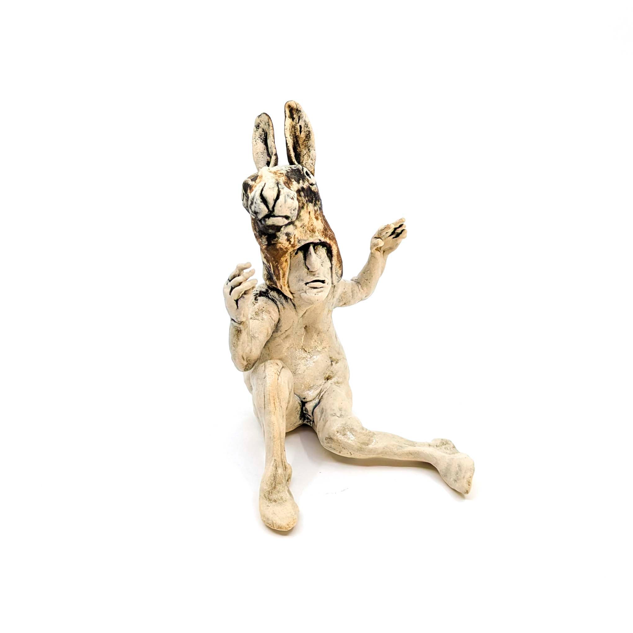 Rabbit Costume Man