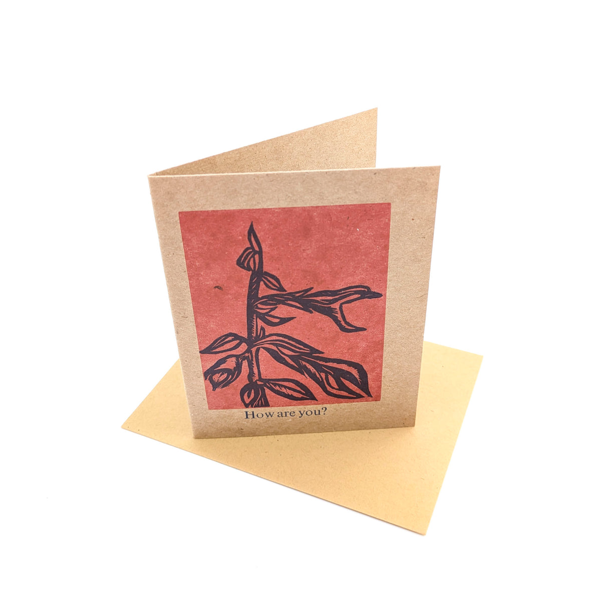 Letterpress Greeting Cards