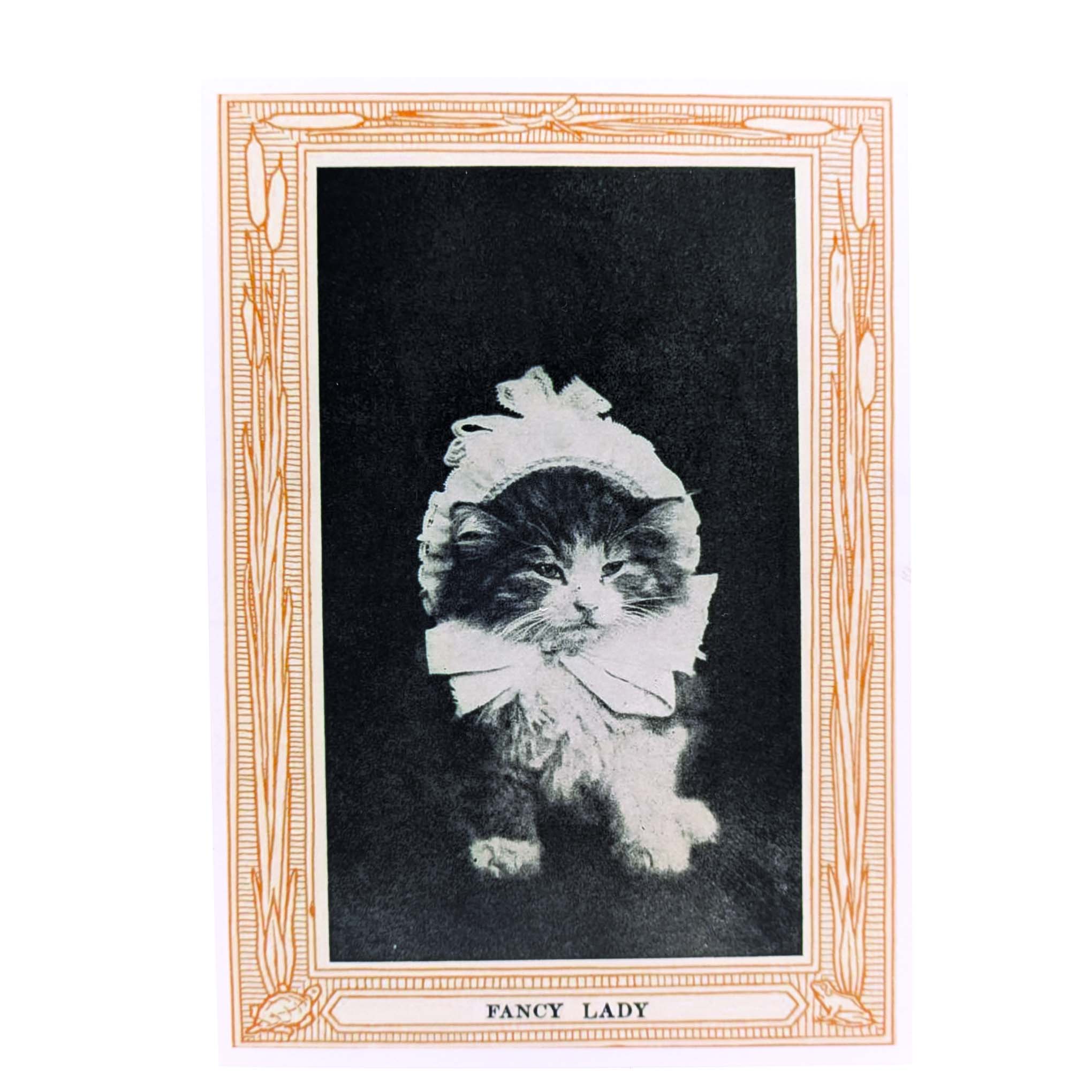 Fancy Lady Print