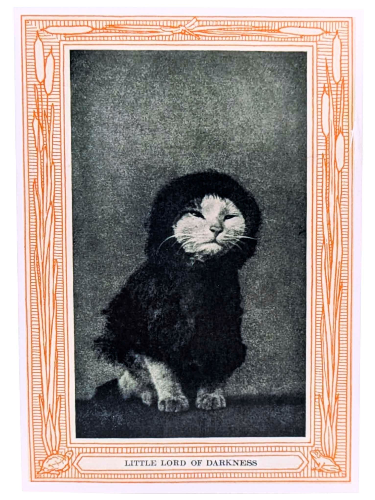 Little Lord of Darkness Print