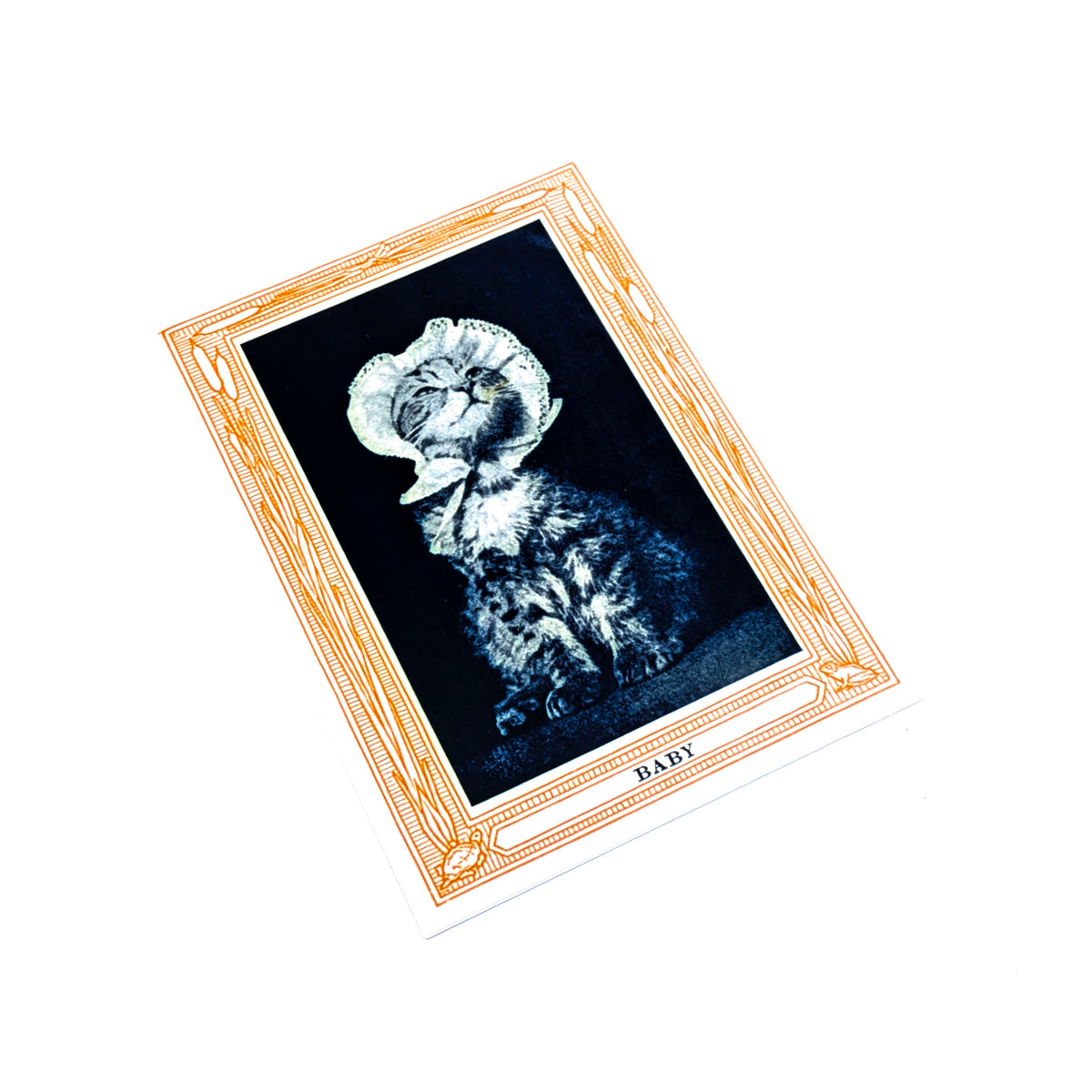 "Baby" Cat Print