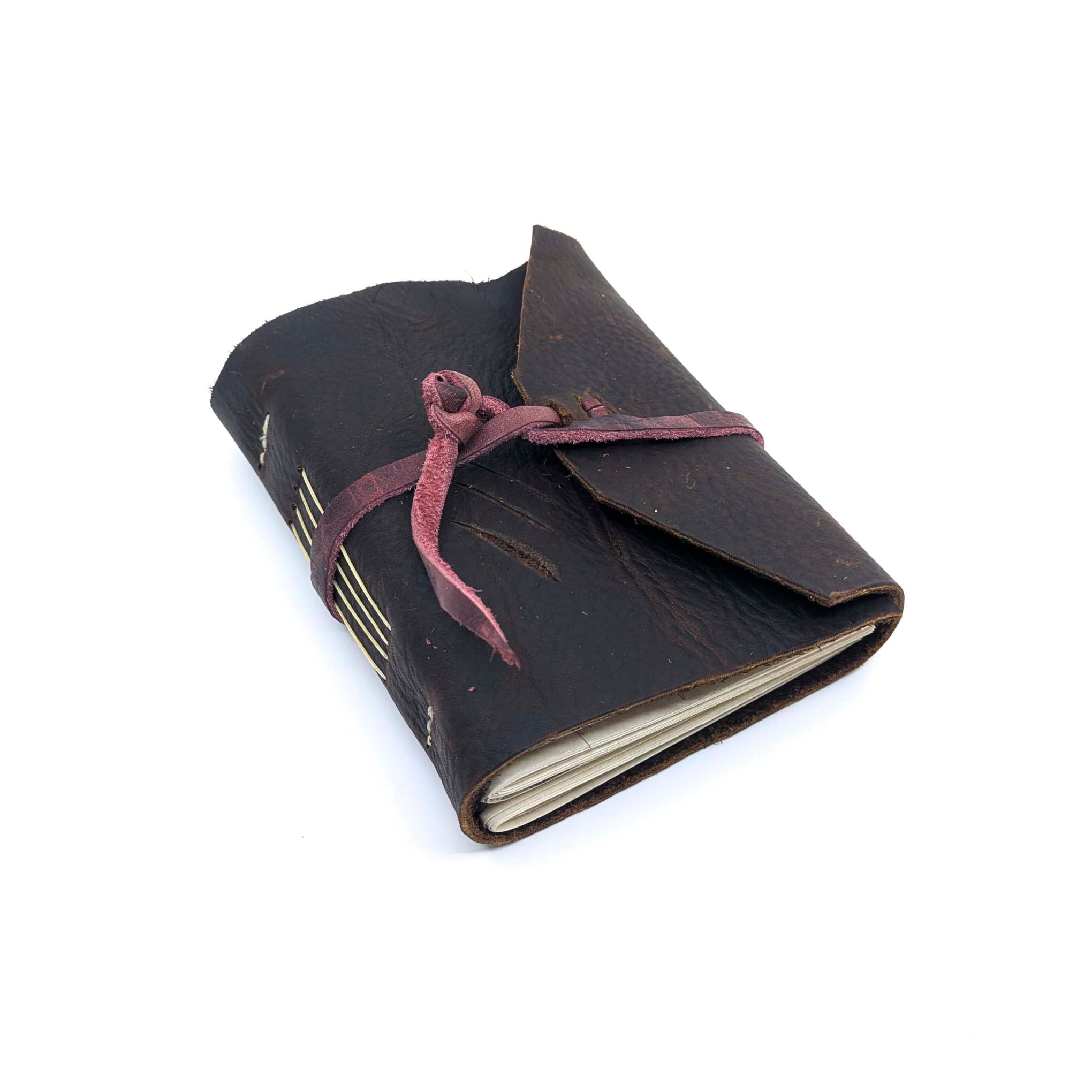 A Fairy Field Guide: Studies from the Order of Fascinations and Fey