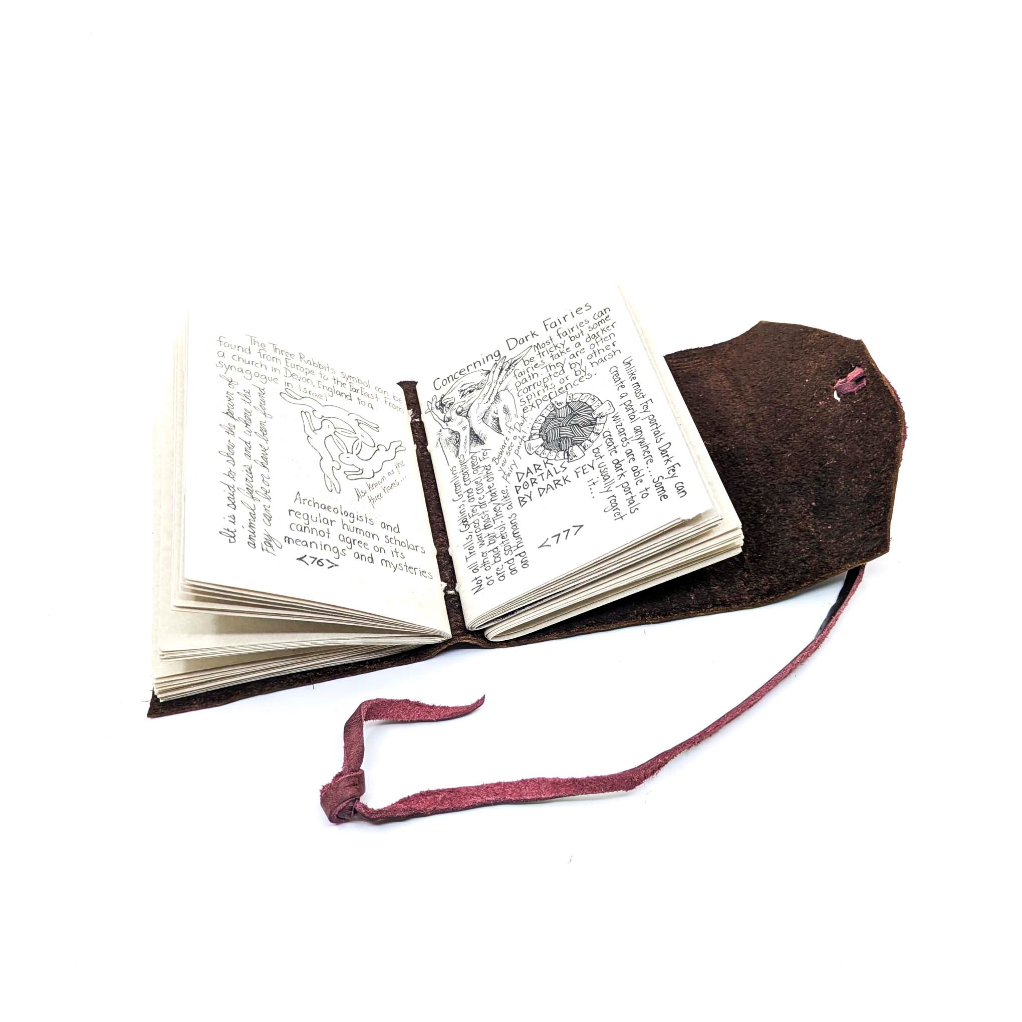 A Fairy Field Guide: Studies from the Order of Fascinations and Fey