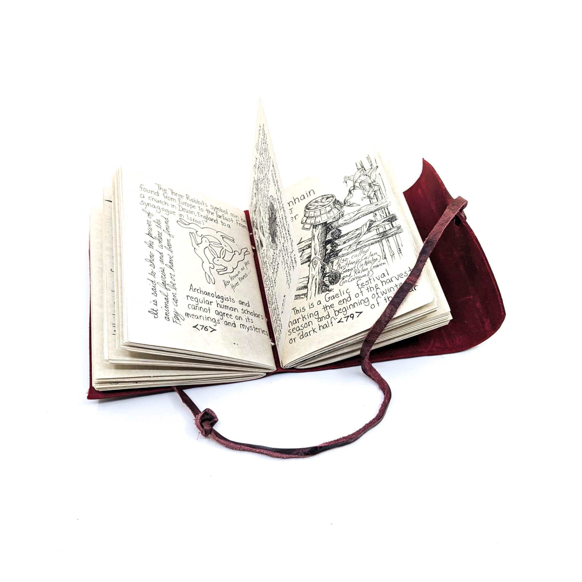 A Fairy Field Guide: Studies from the Order of Fascinations and Fey