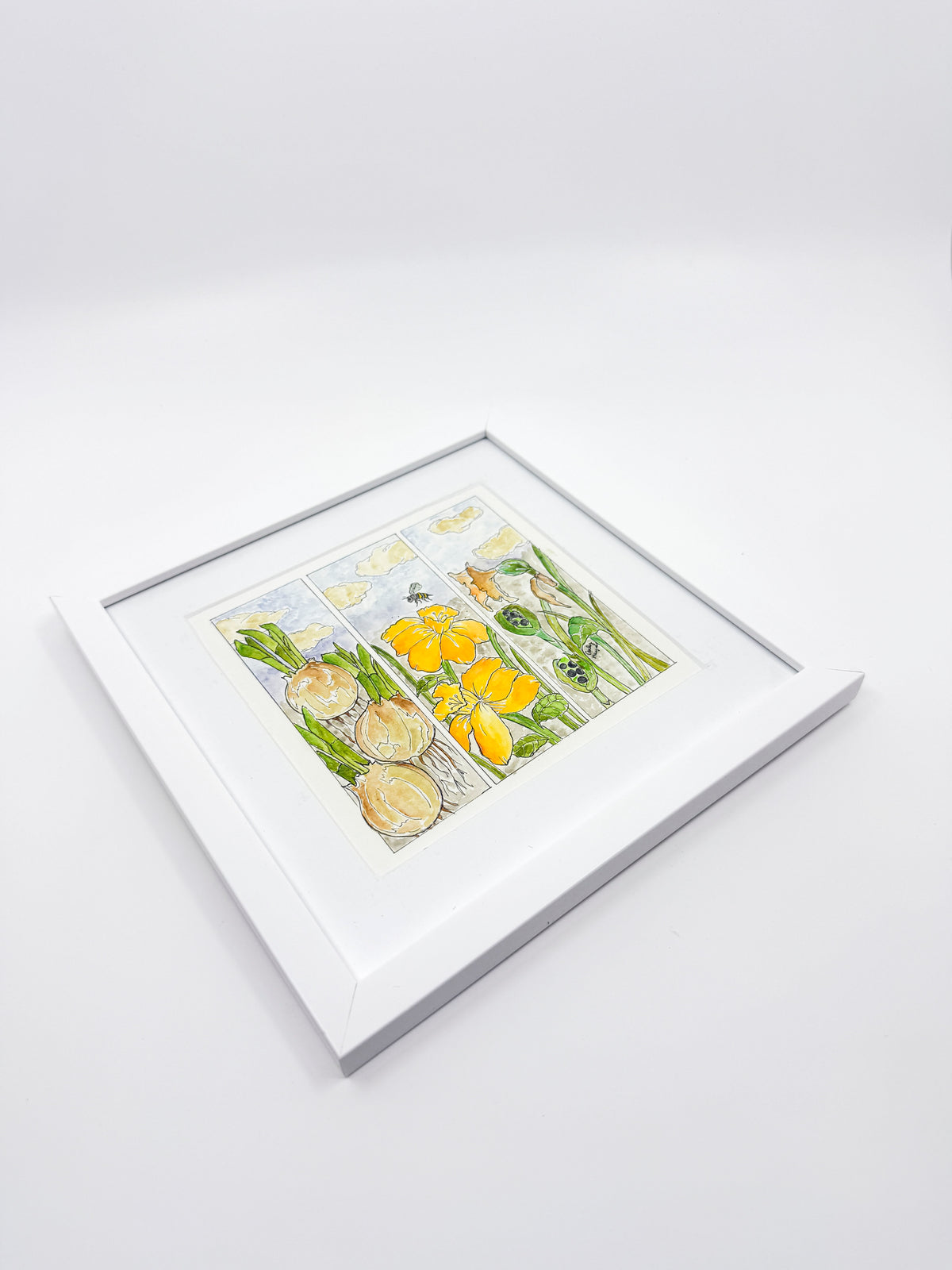 Daffodil Life Cycle