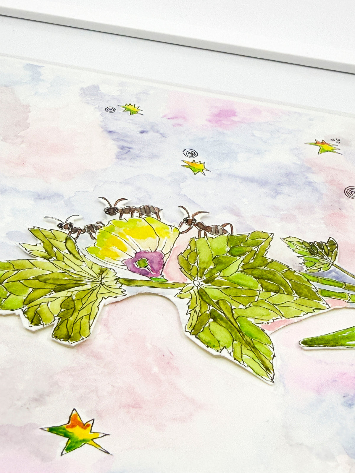 Ants Okra Dance
