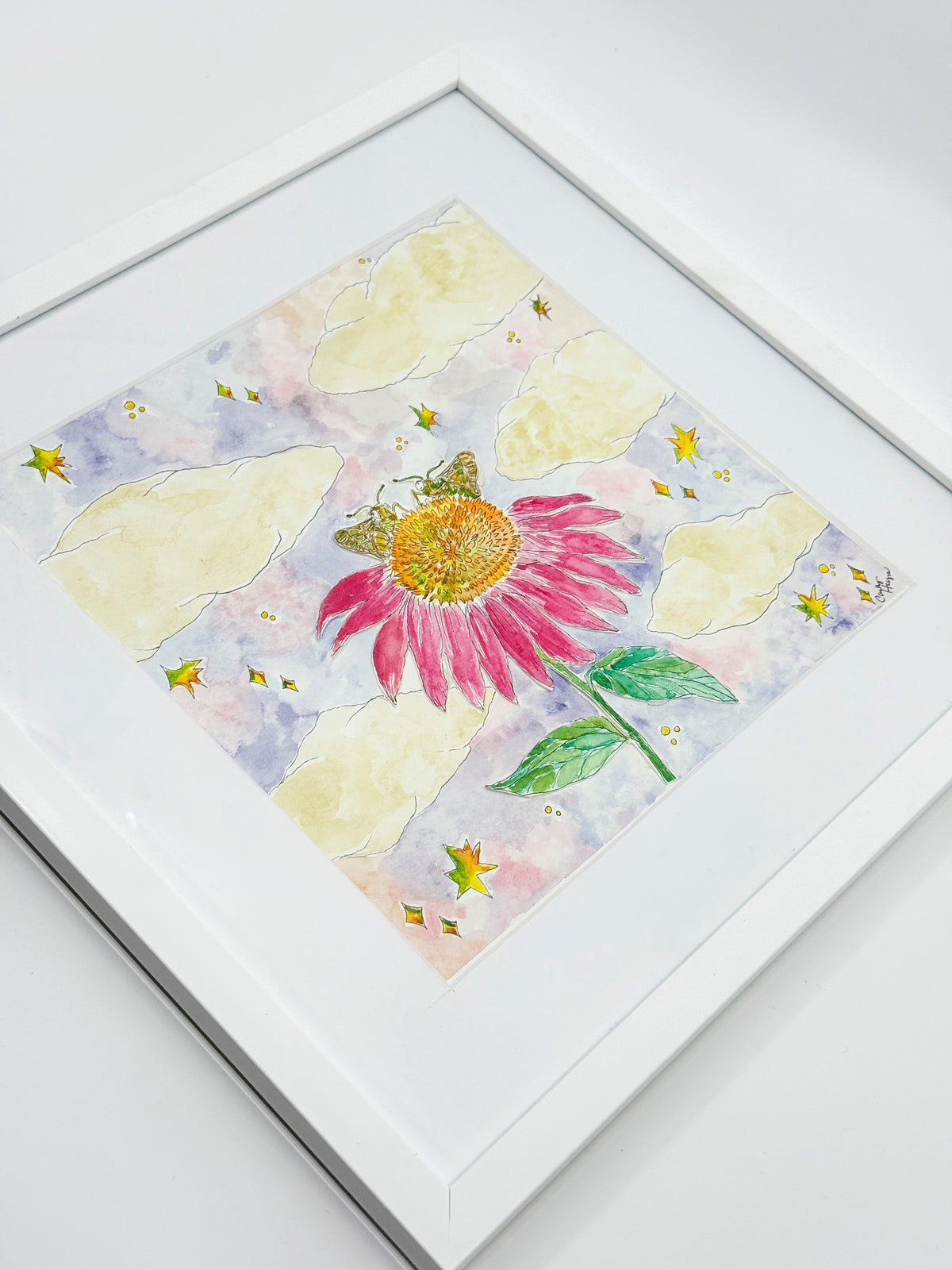 Coneflower Chats