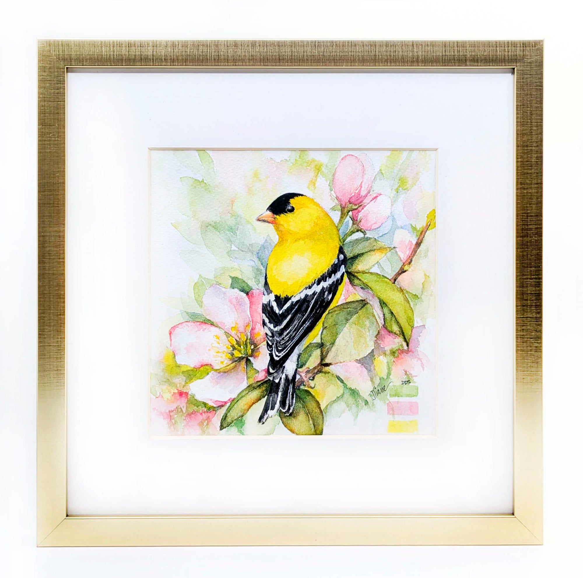 Yellow Finch- Original Watercolor Painting