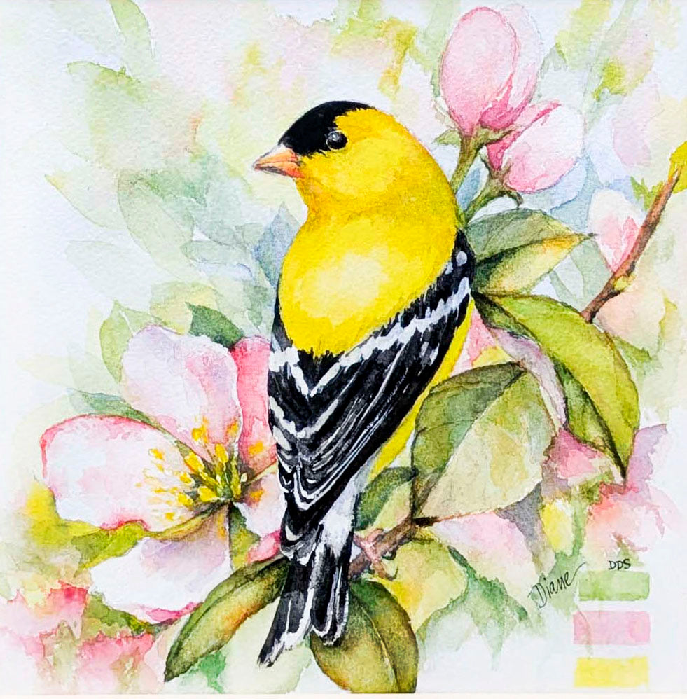 Yellow Finch- Original Watercolor Painting