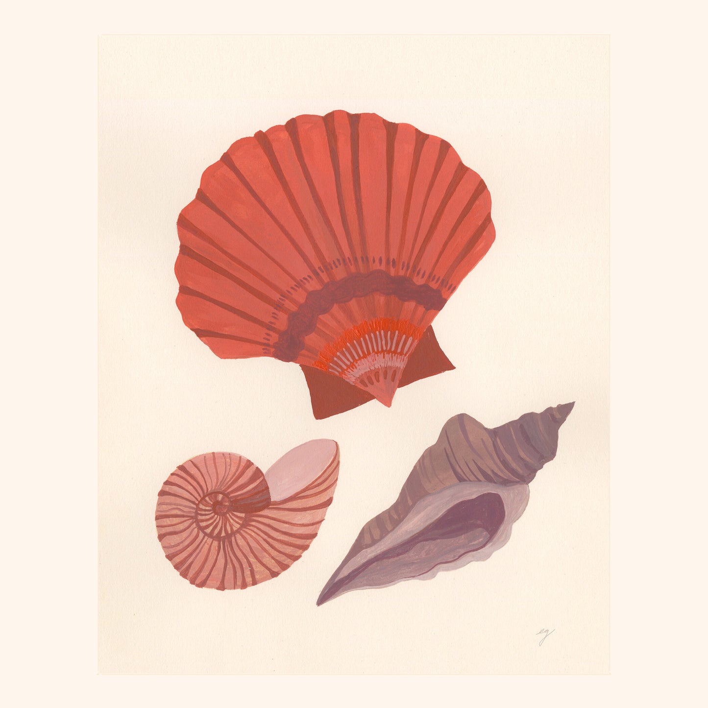 Seashell Study- Print