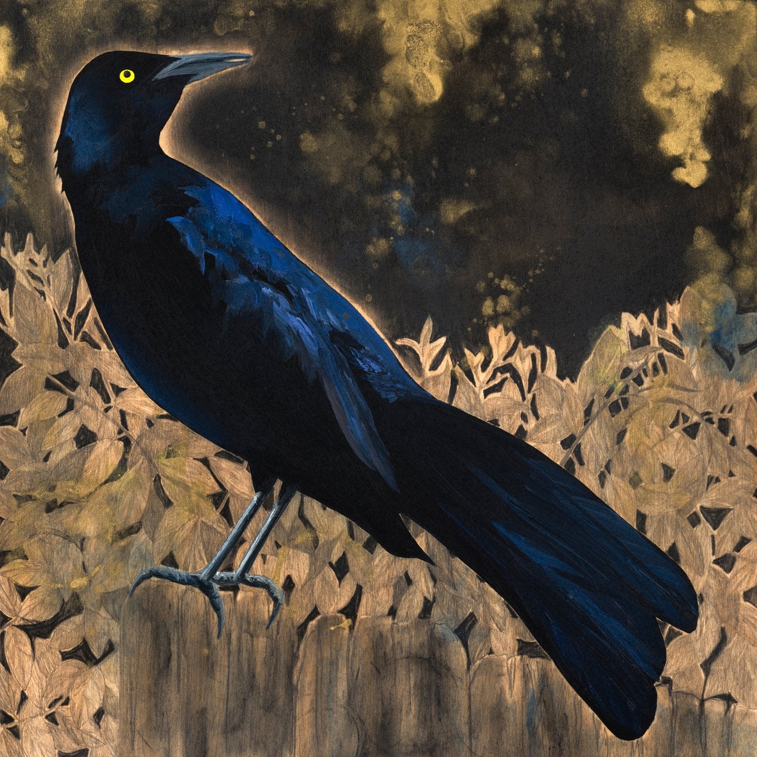 Grackles