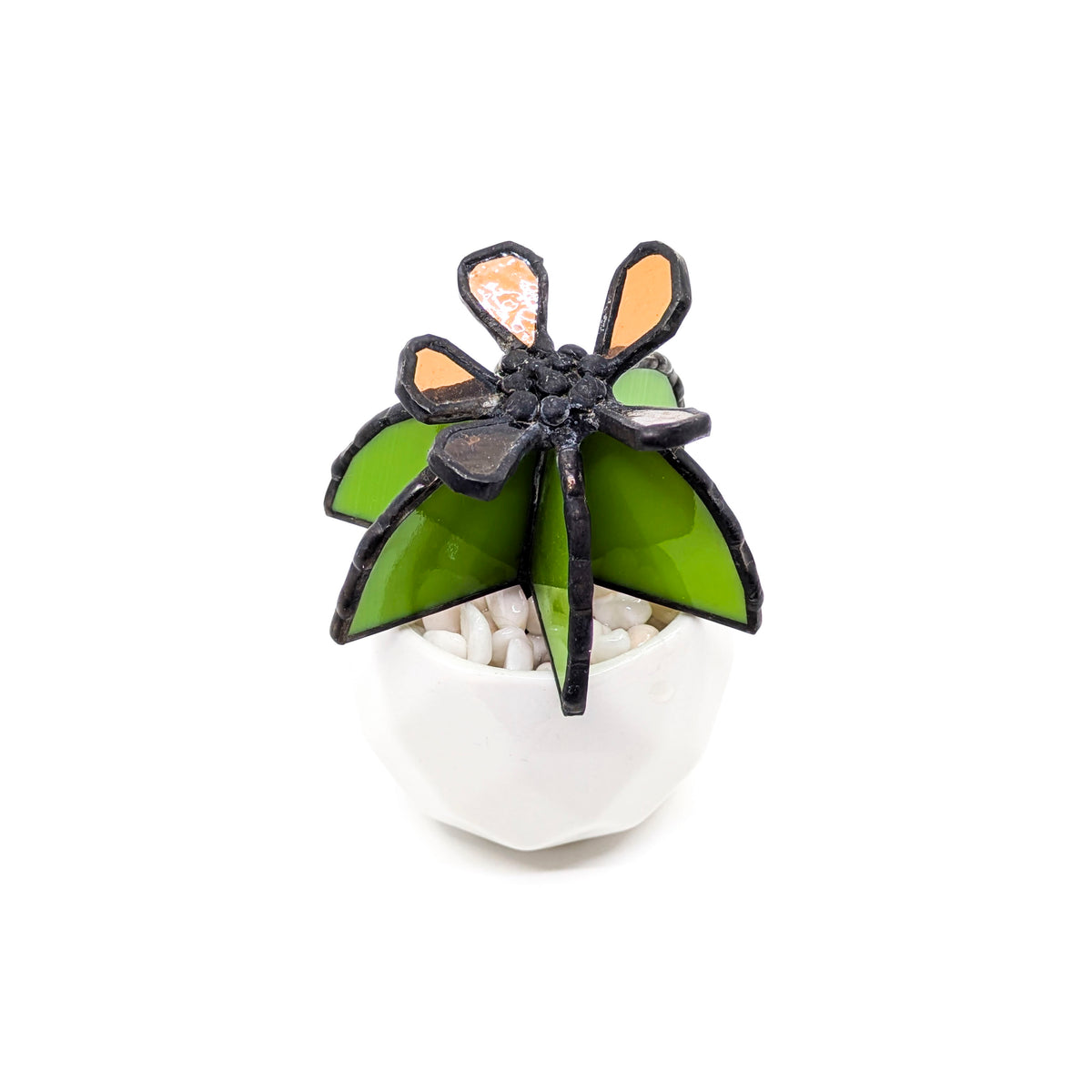 Stained Glass Succulents (7 Styles)