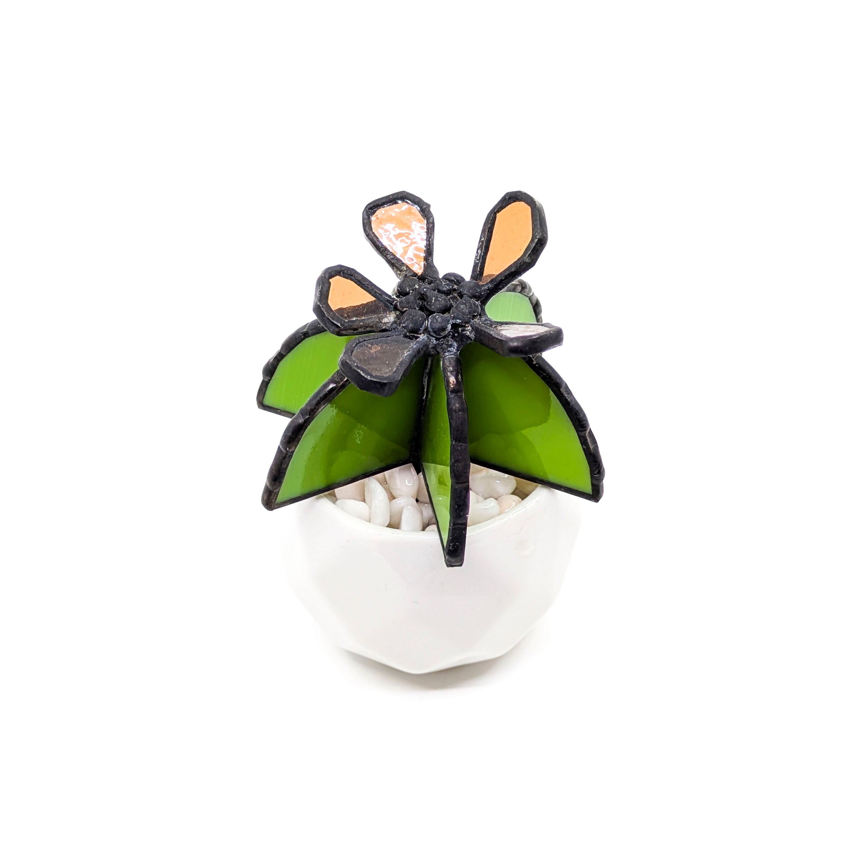 Stained Glass Succulents (7 Styles)