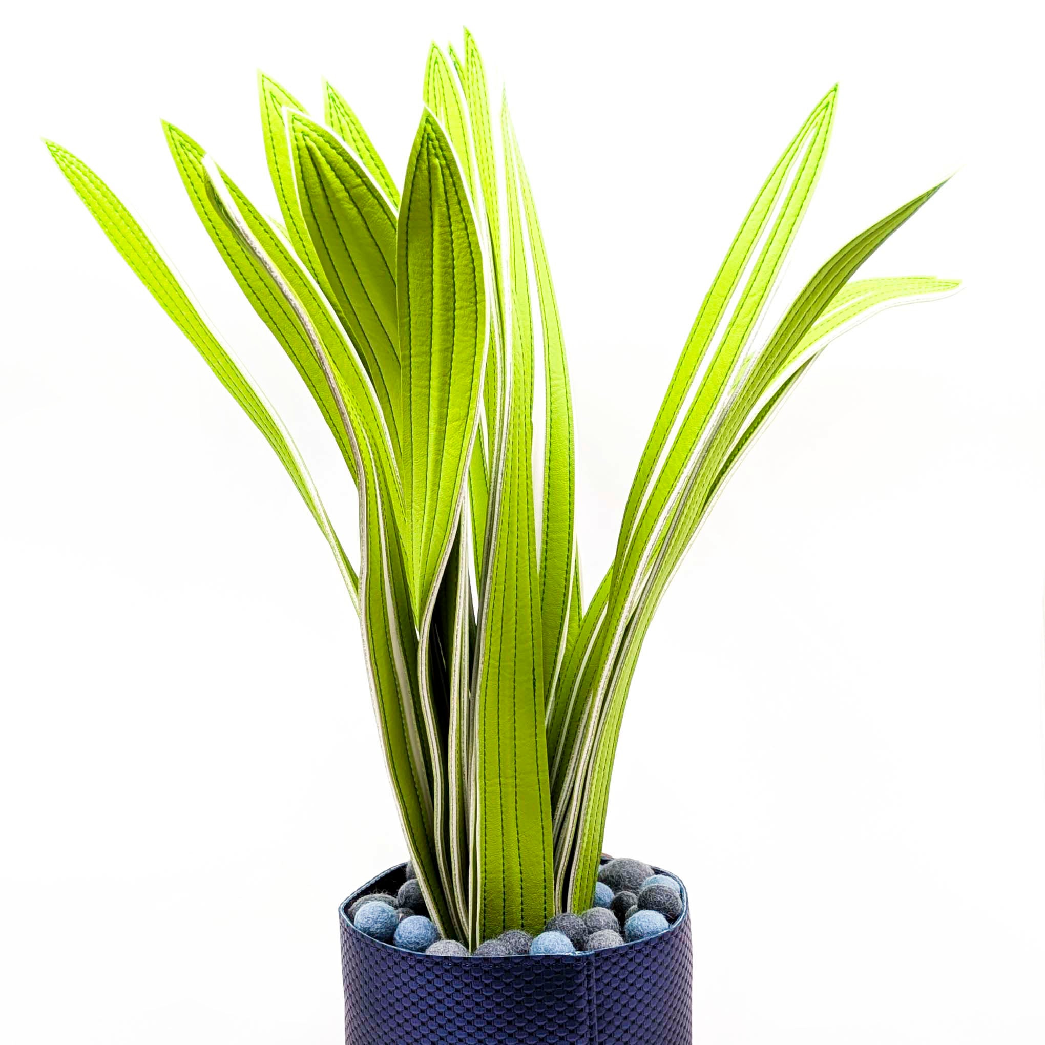 Fake Plant (Spider Plant)