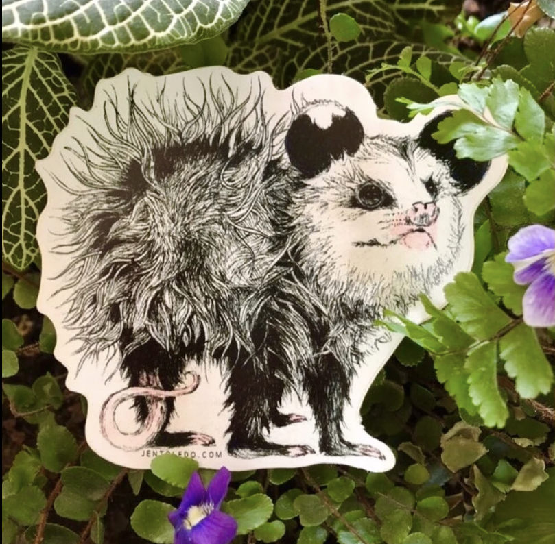 Opossum- Sticker