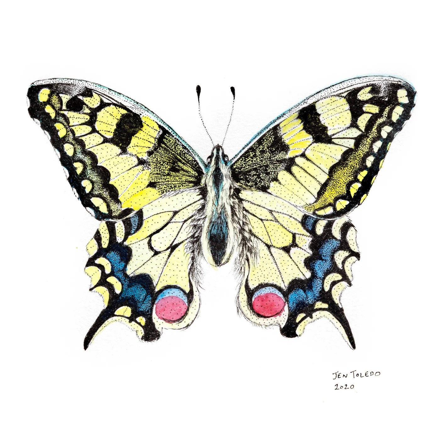 Swallowtail- Print