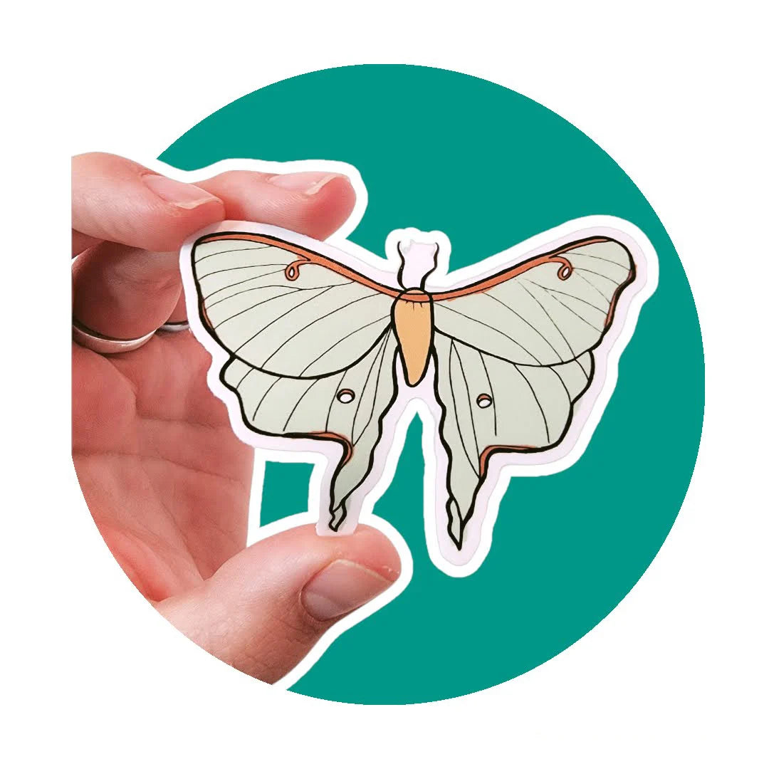 Moth Sticker