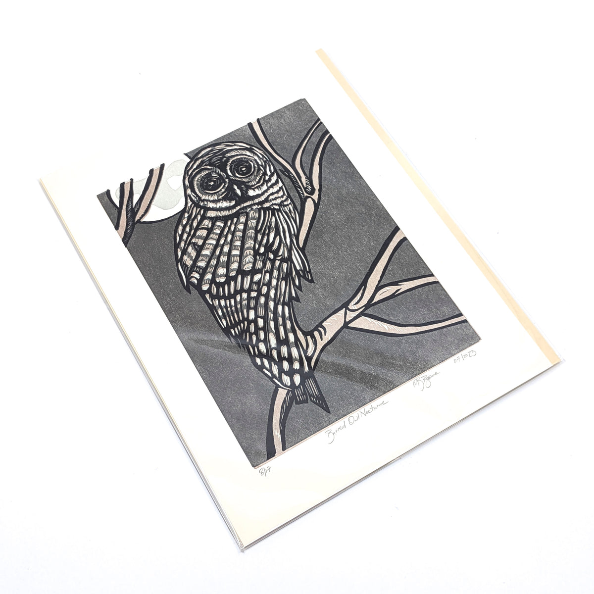 Neighborhood Barred Owl- Print