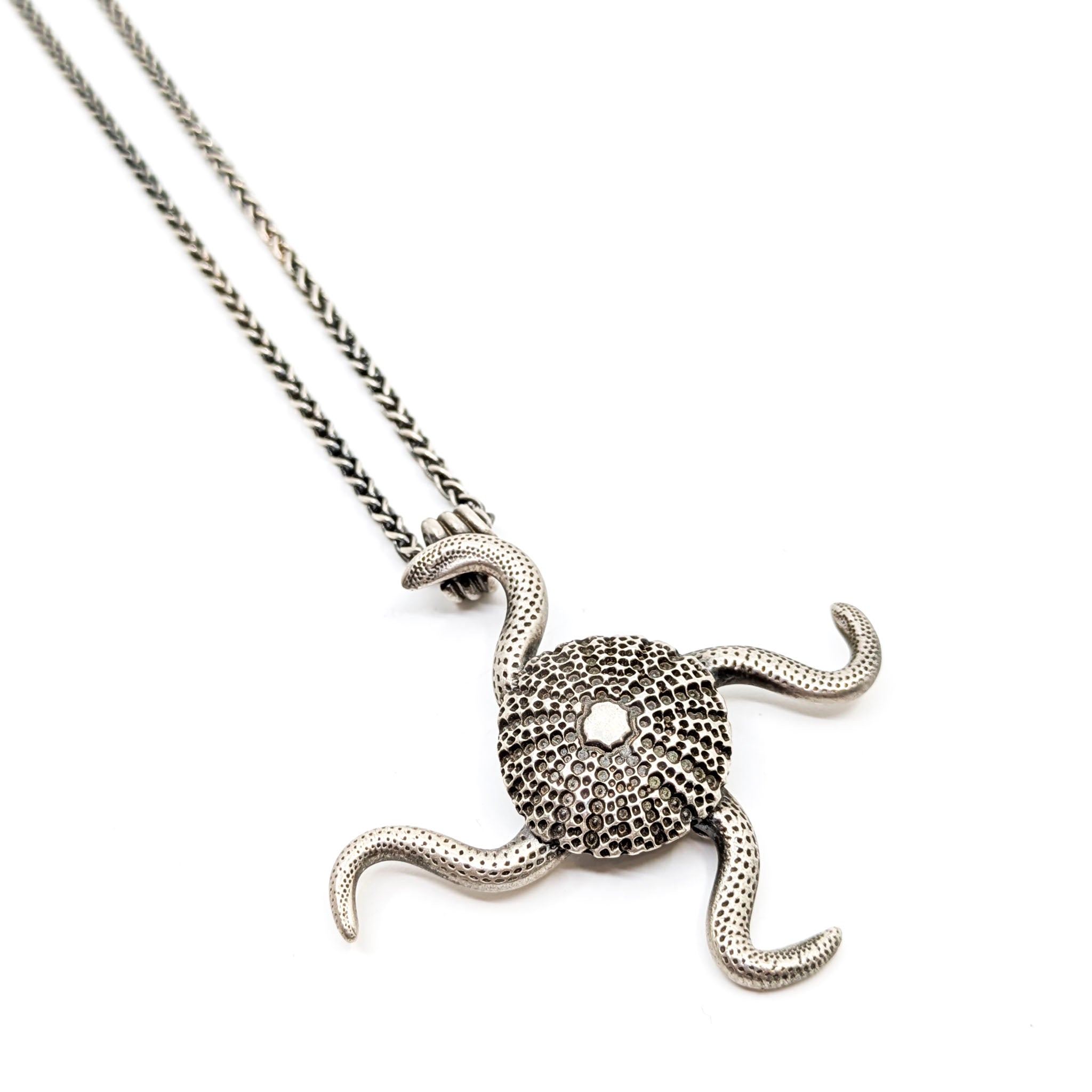 Asterias Fragilis/Brittle Star Necklace