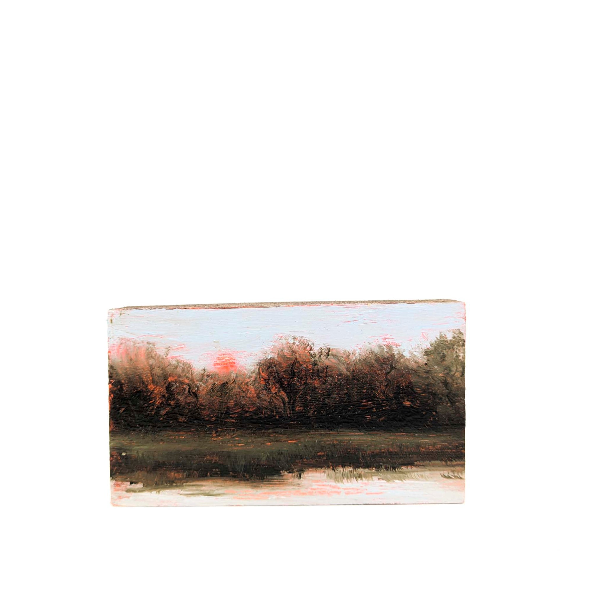 Sunset Over the Trees