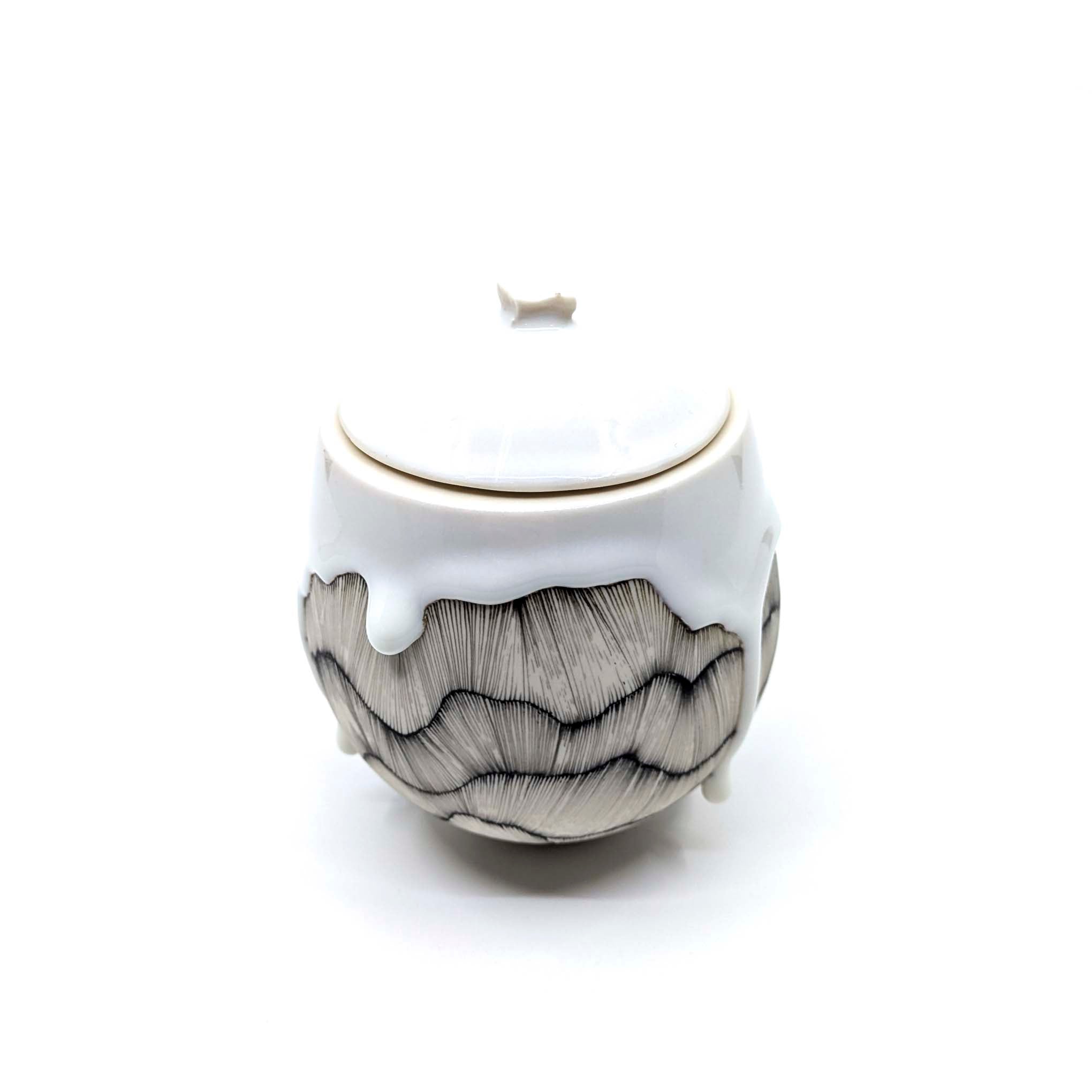 Winter Hills Sugar Bowl #2