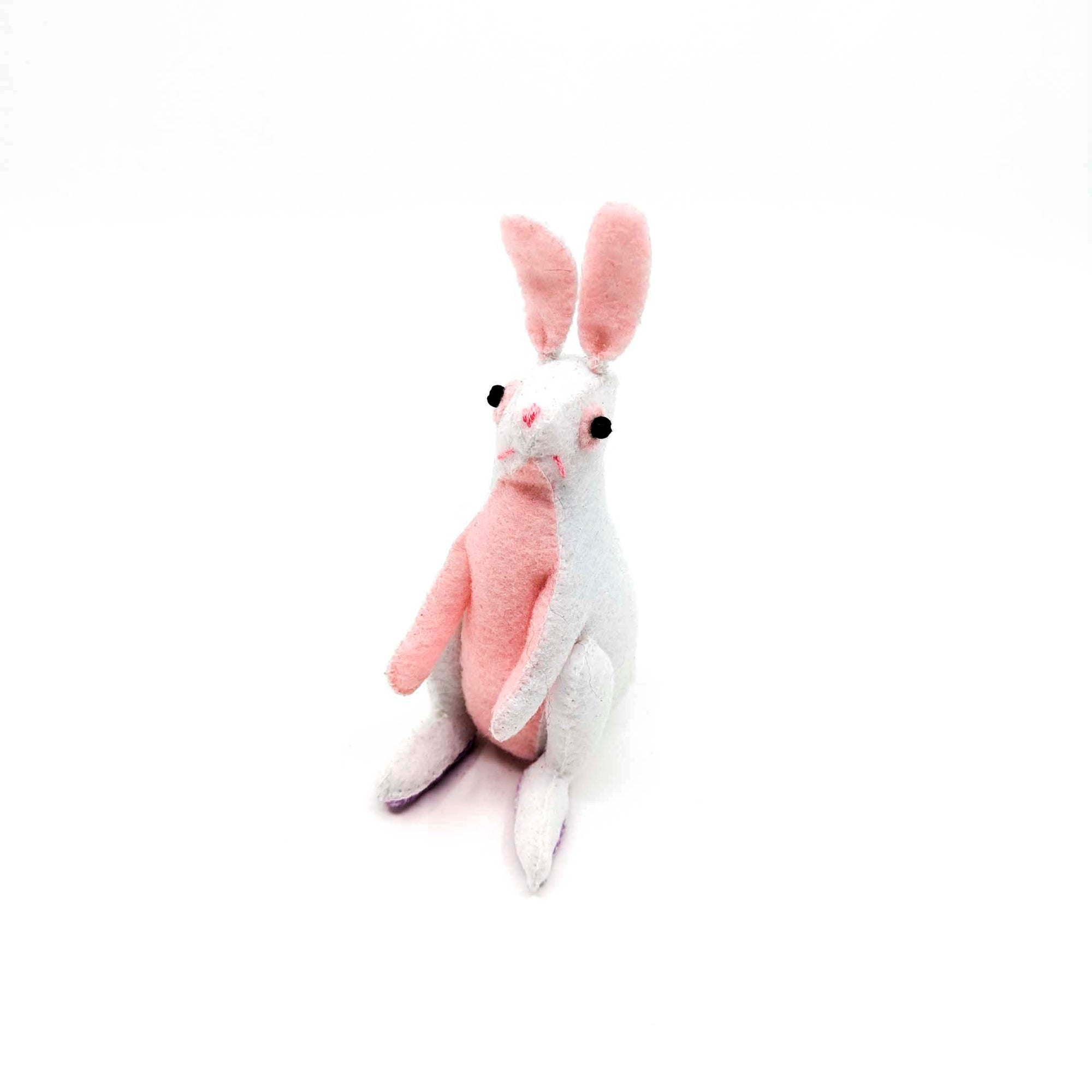 Peter the Rabbit