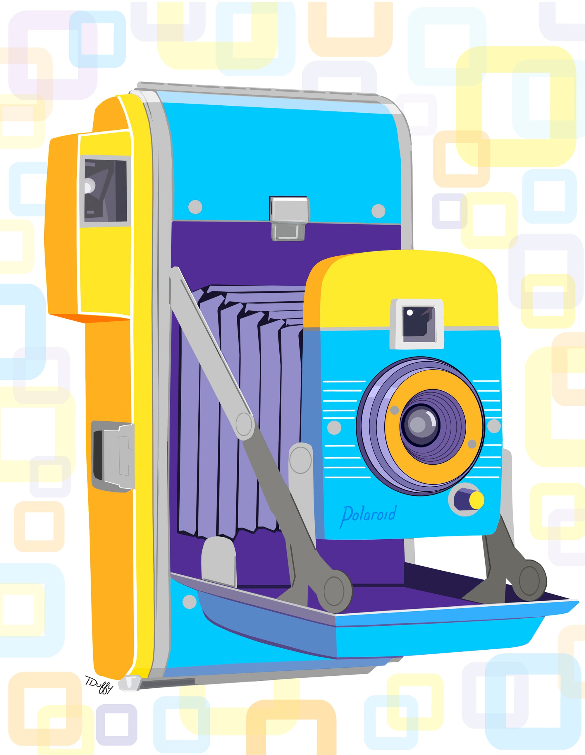 Polaroid Party- Wall Work