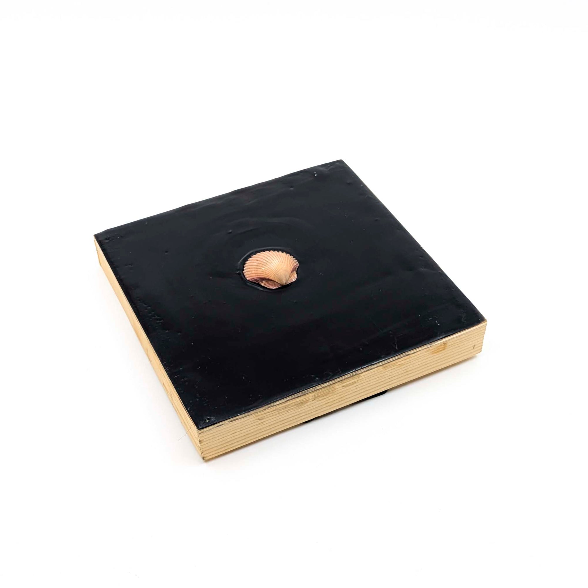 Encaustics with Shells- Dark