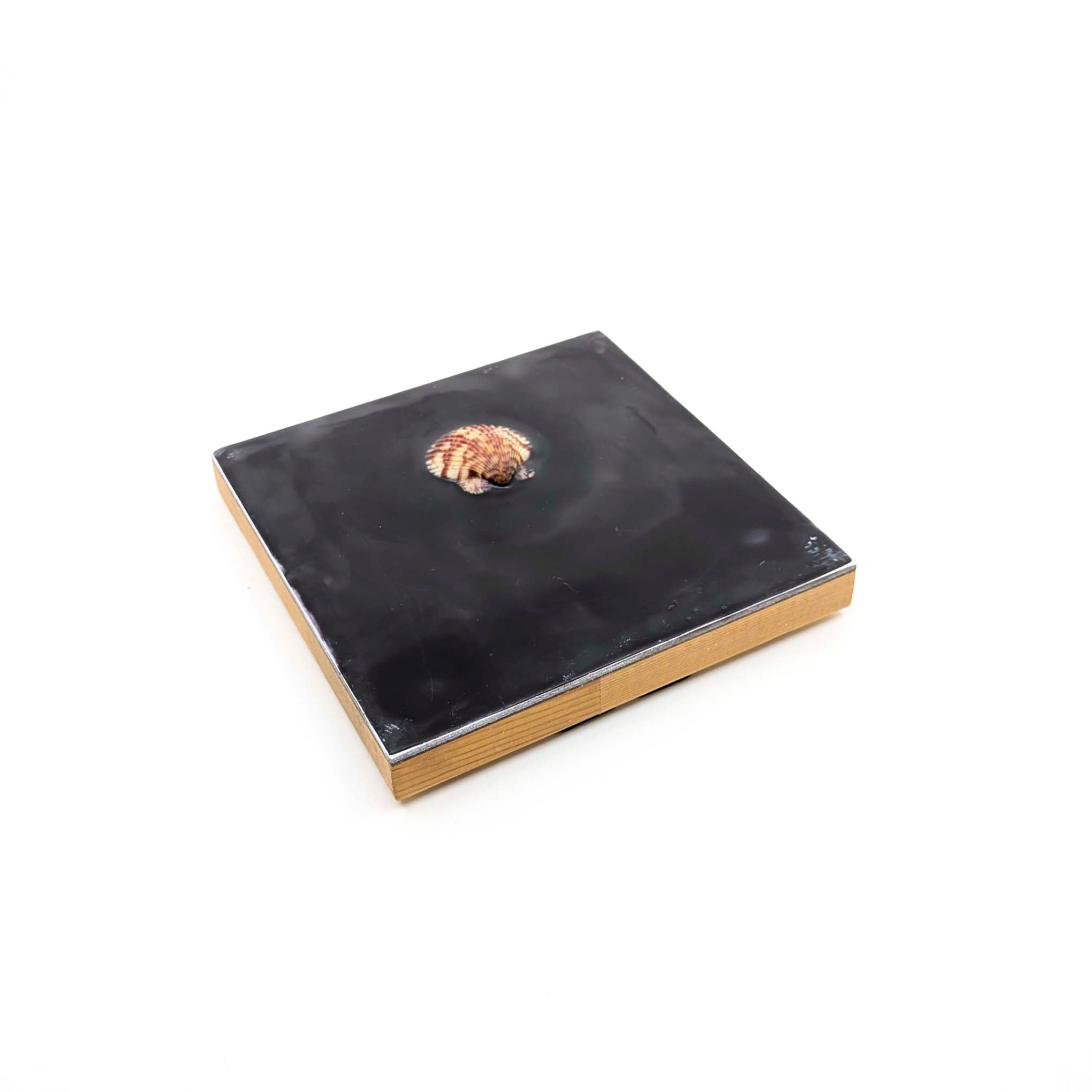 Encaustics with Shells- Dark