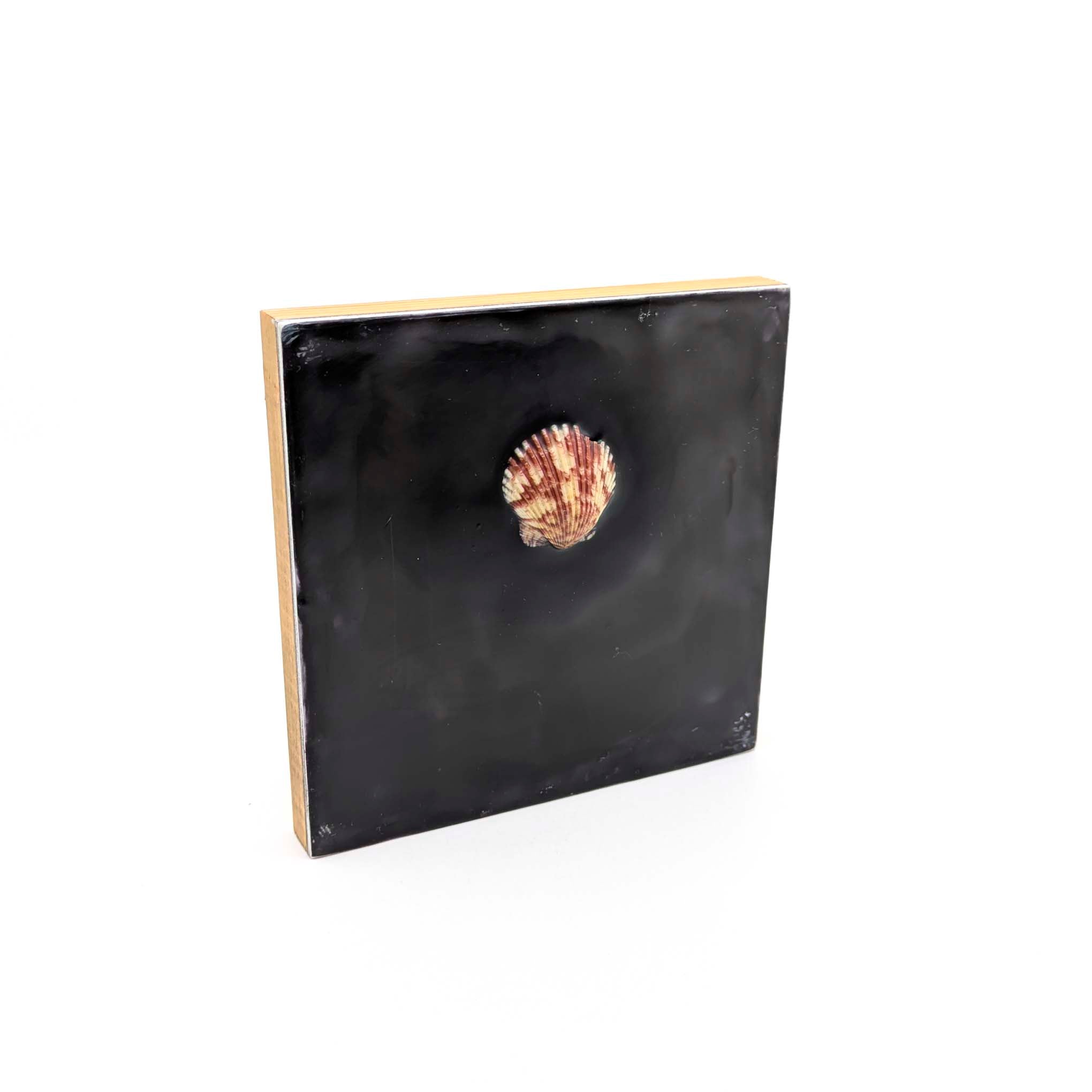 Encaustics with Shells- Dark