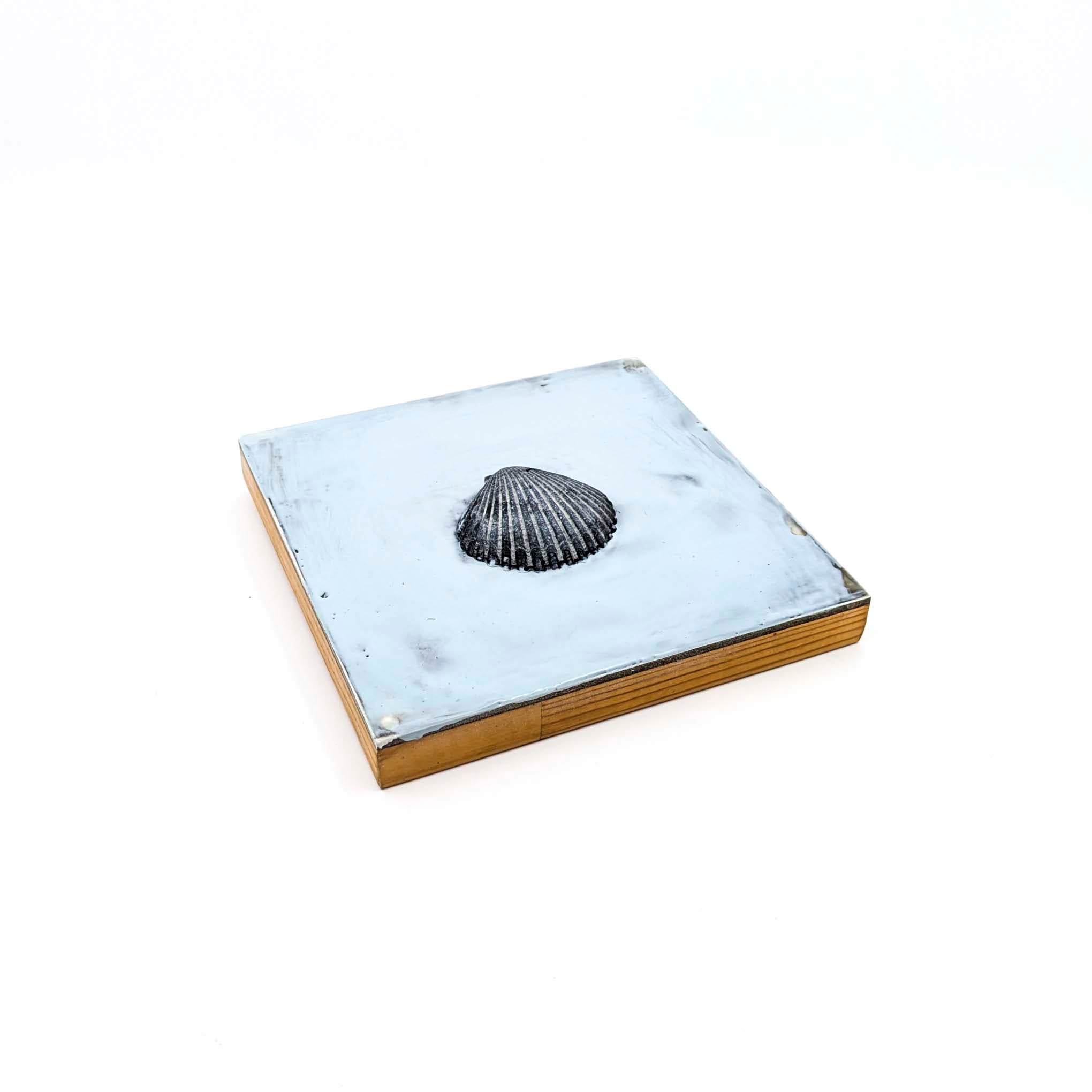 Encaustics with Shells- Blue