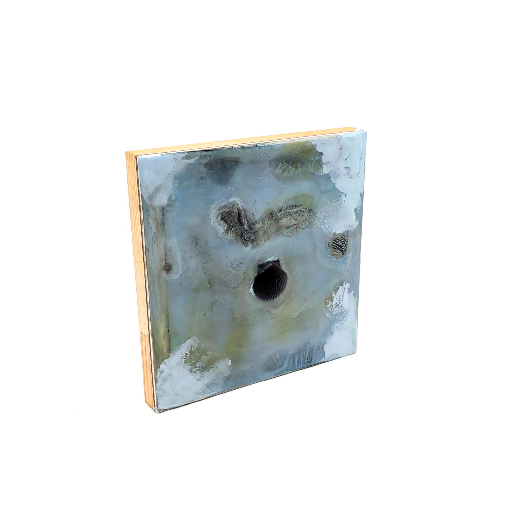 Encaustics with Shells- Blue