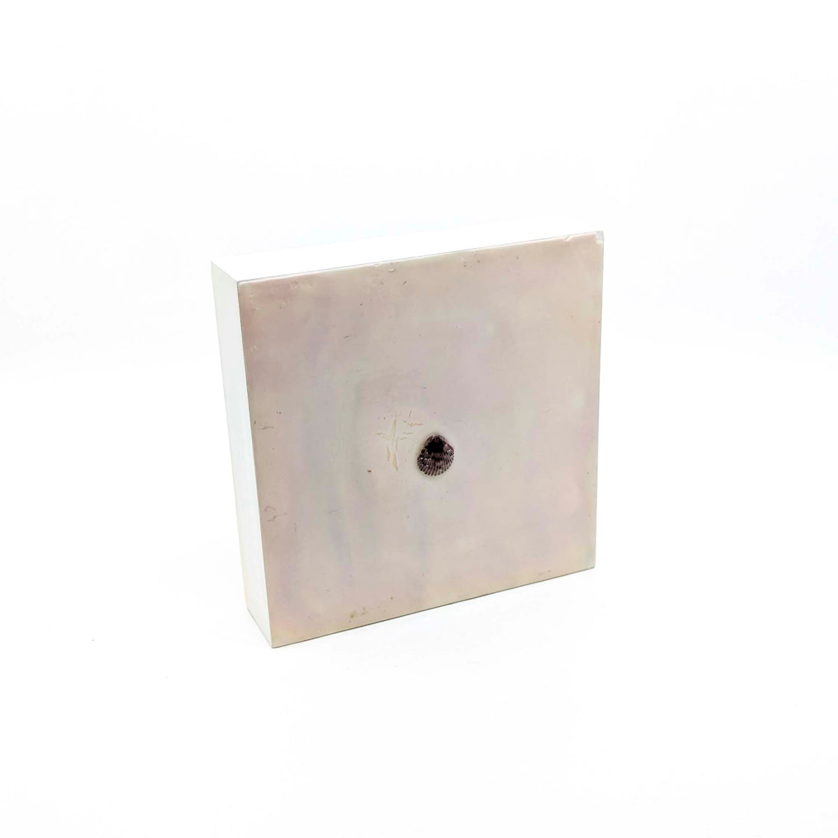 Jackie Radford - Encaustics with Shells - Taupe - Style 4 - VISUAL INDEX