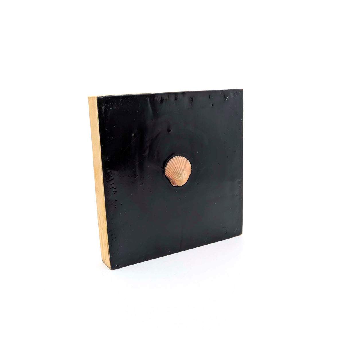 Jackie Radford - Encaustics with Shells - Dark - Style 5 - VISUAL INDEX