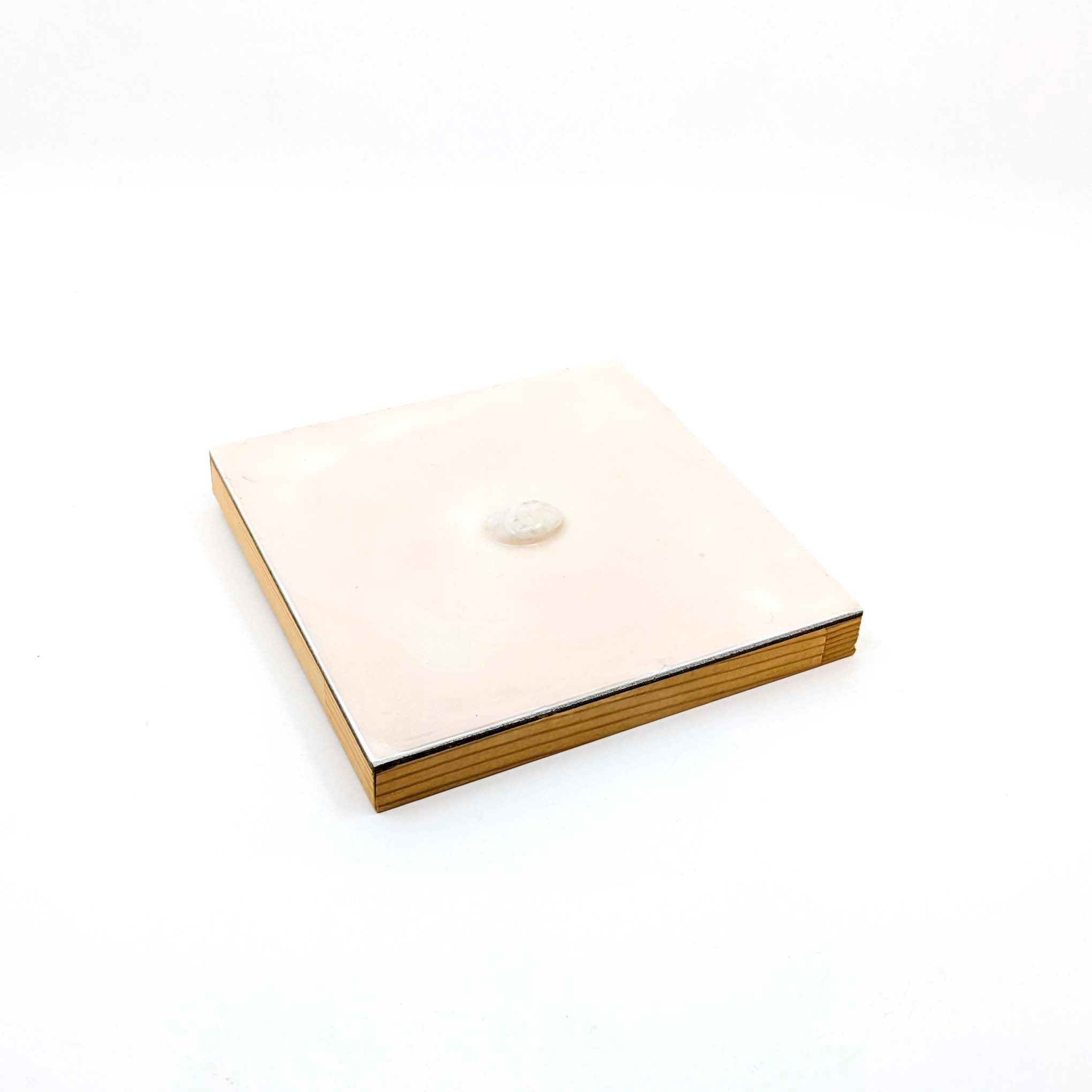 Encaustics with Shells- Taupe