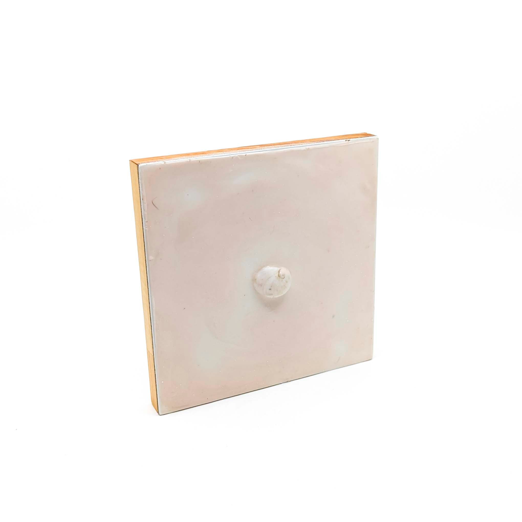 Encaustics with Shells- Taupe
