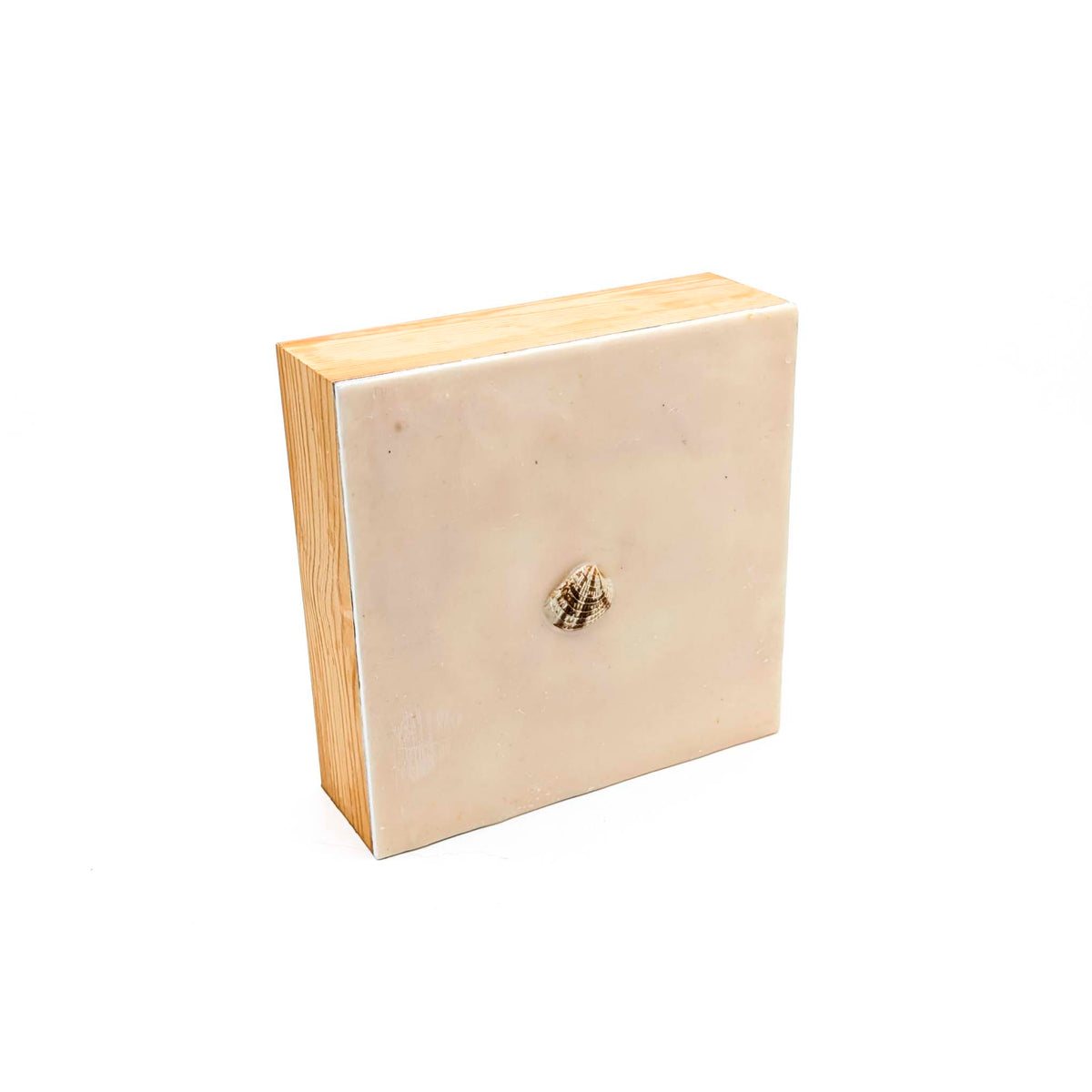 Jackie Radford - Encaustics with Shells - Taupe - Style 2 - VISUAL INDEX
