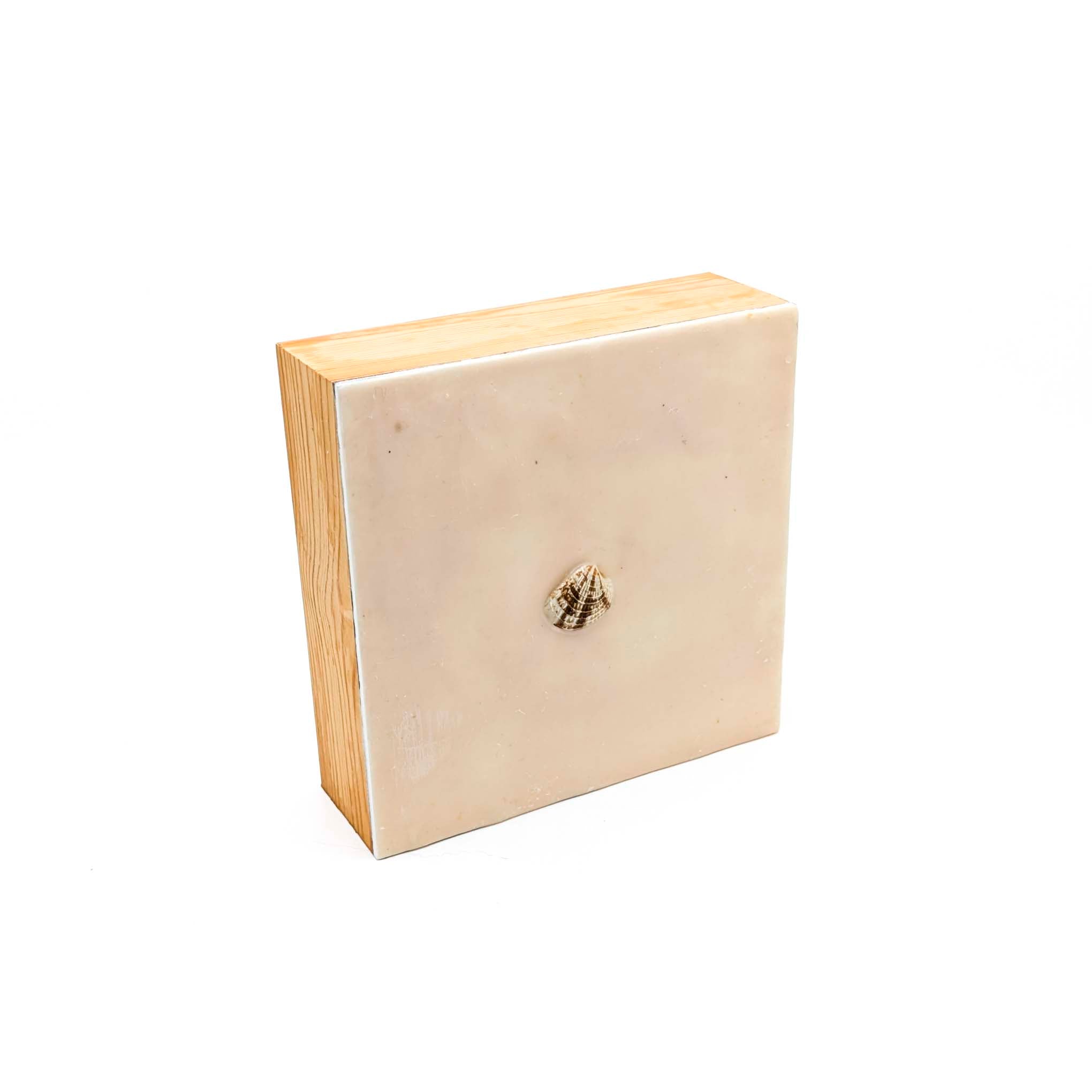 Encaustics with Shells- Taupe