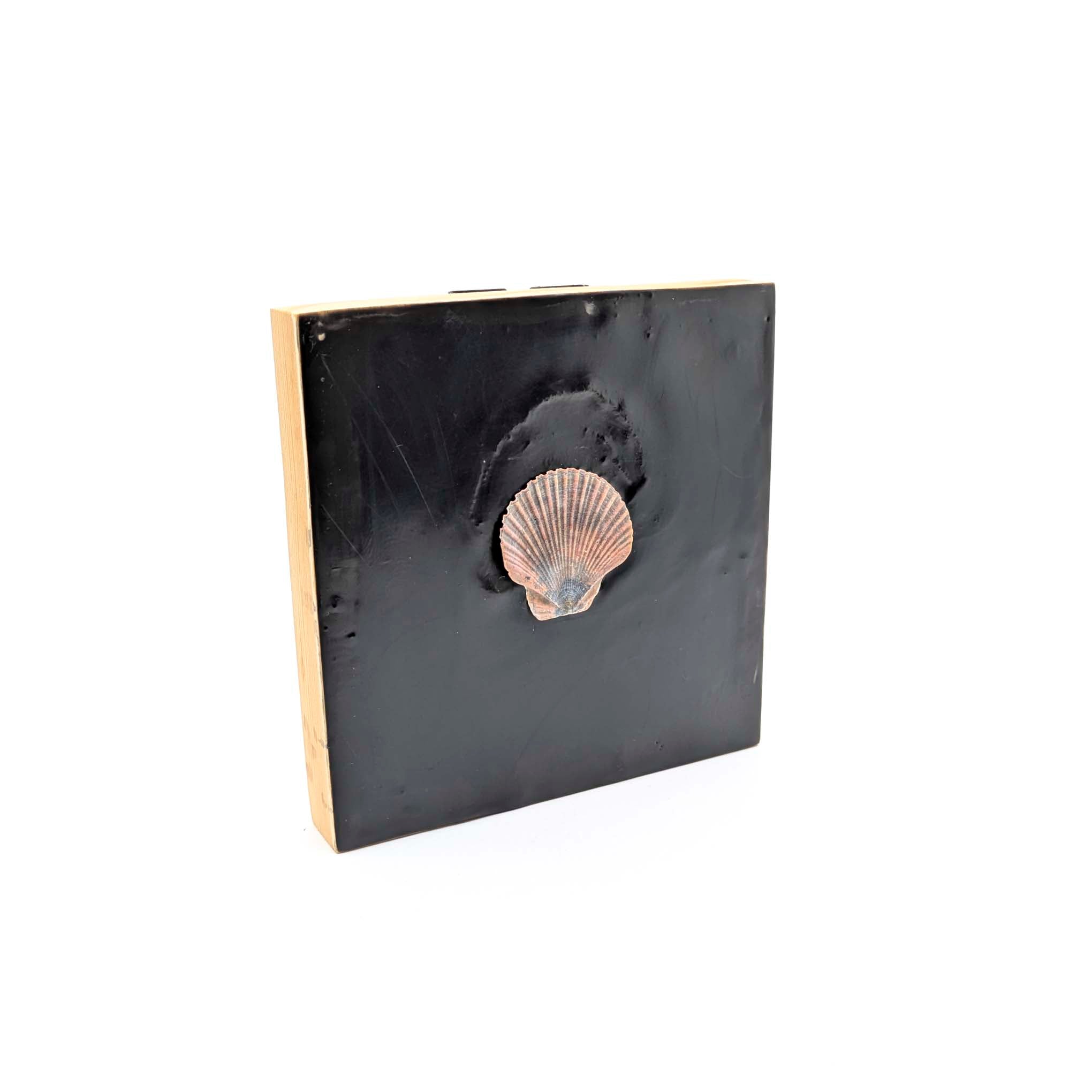 Encaustics with Shells- Dark