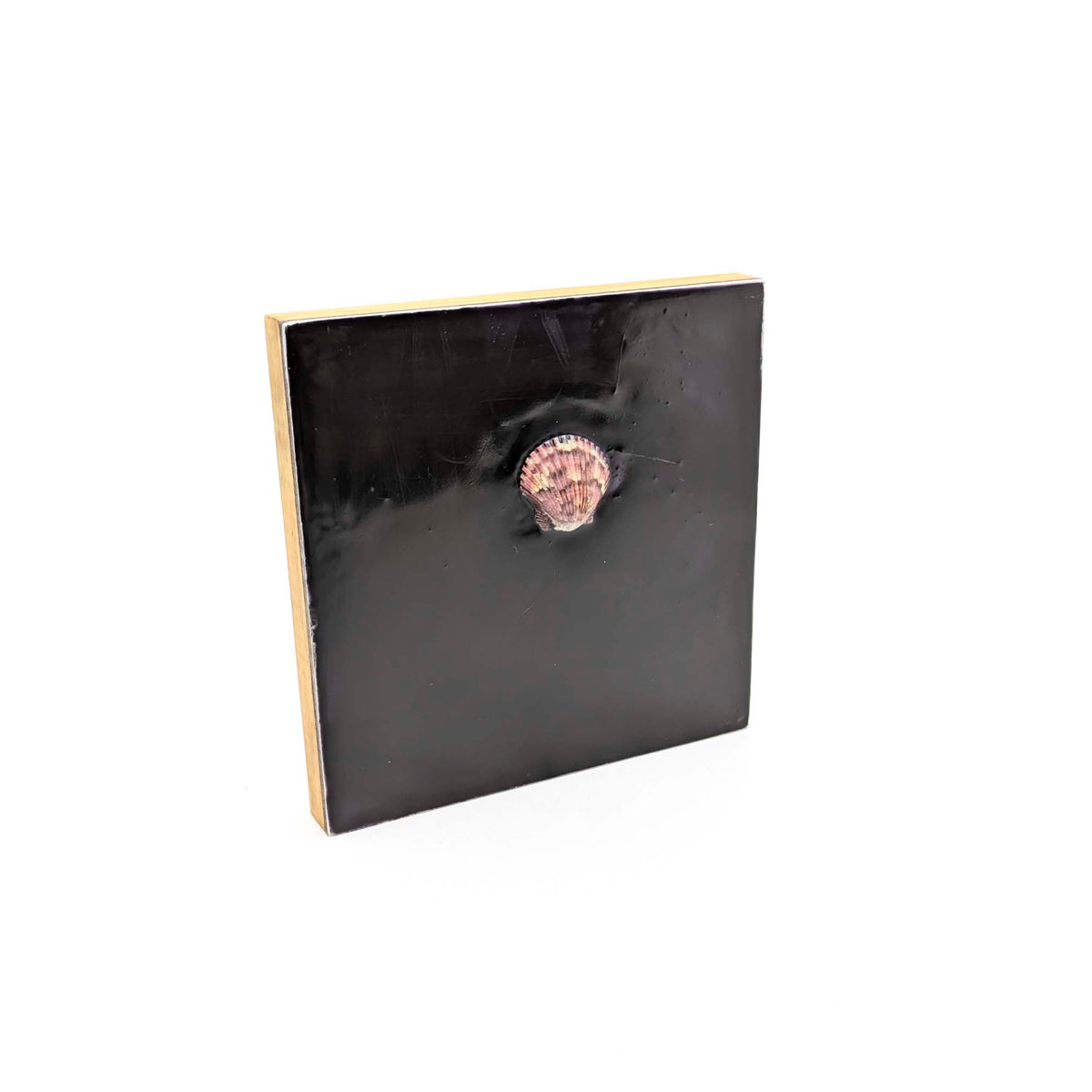 Jackie Radford - Encaustics with Shells - Dark - Style 3 - VISUAL INDEX