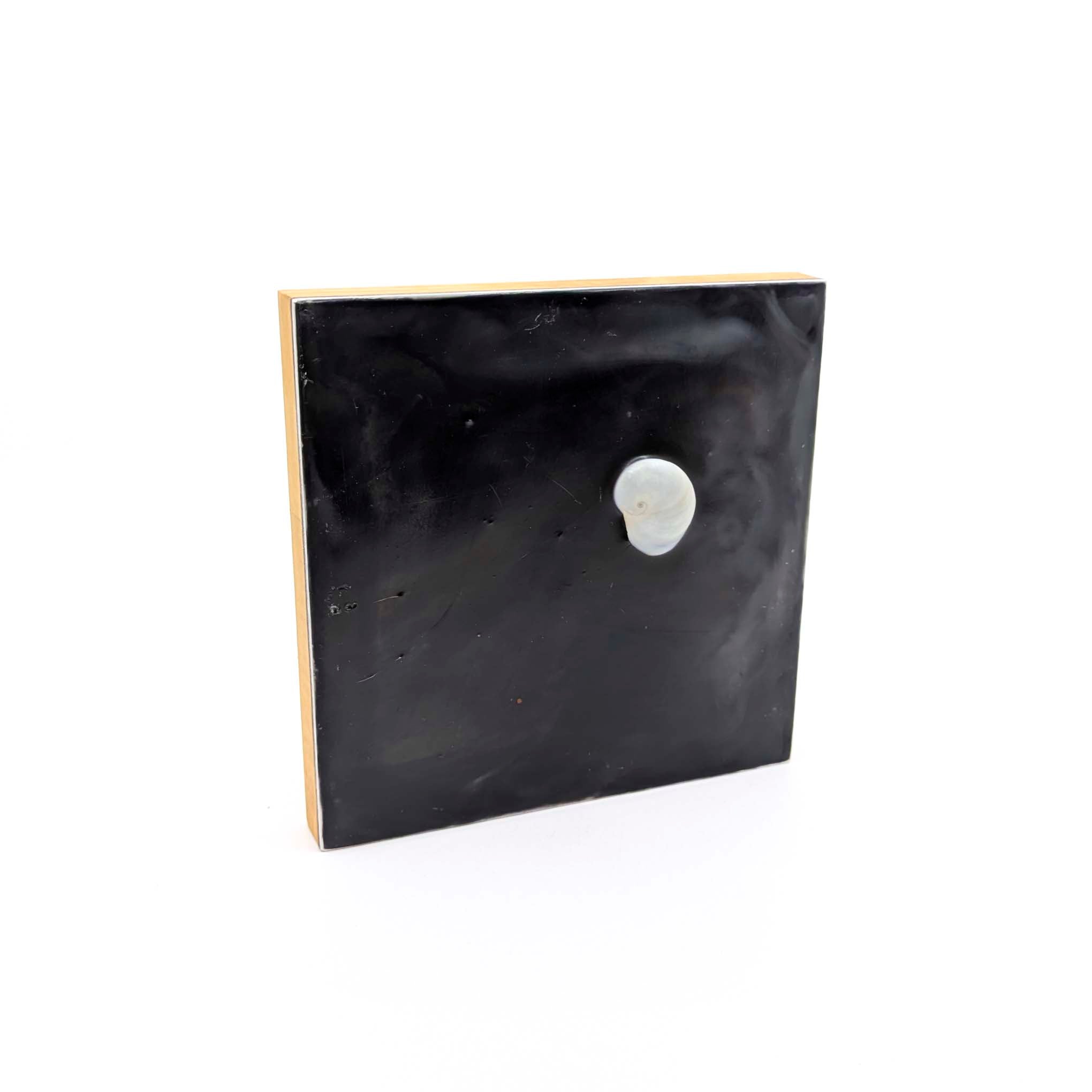 Encaustics with Shells- Dark