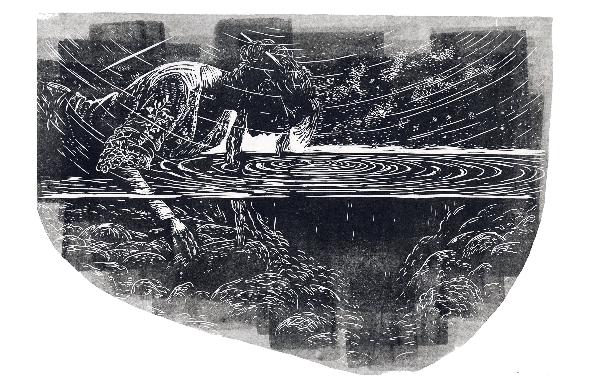 Ripple- Print