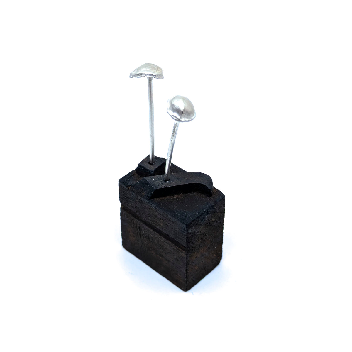 Miniature Plant Sculpture- Mushroom Caps (30a)
